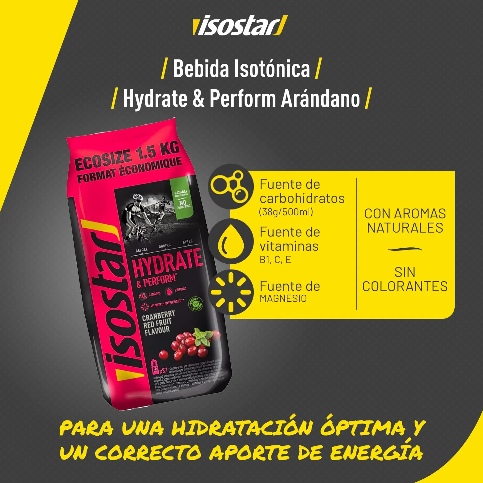 Isostar Hydrate & Perform - 1,5 kg de Bebida Electrolítica Isotónica - Solución Electrolítica para Mejorar el Rendimiento Deportivo – Sabor Arándanos, 1,5 kg (Paquete de 1)