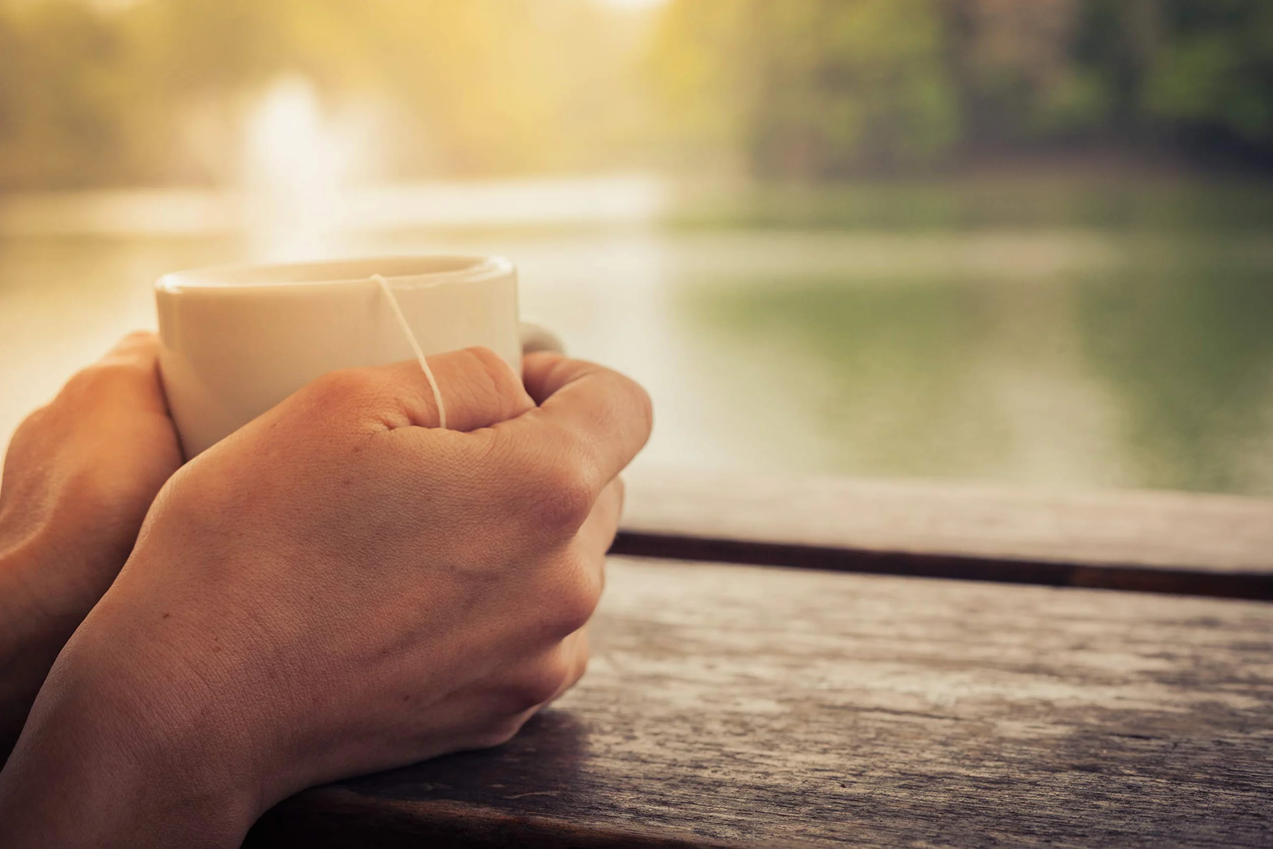 Prospect Tea White Bengala Darjeeling - Cápsulas de té compatibles con cafeteras K Cup incluyendo 2.0, 40 unidades