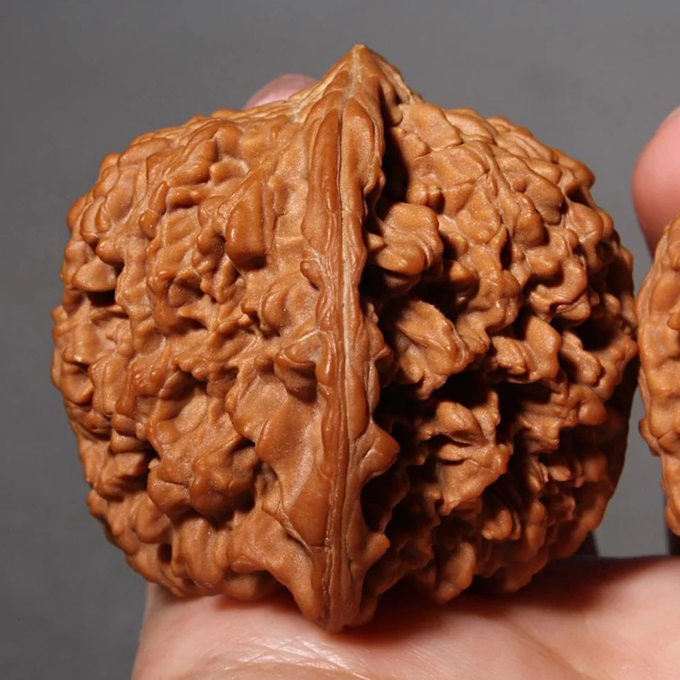 Wenwan Nueces de nogal, Wenwan Walnut con caja de regalo y cepillo para papás mayores coleccionistas