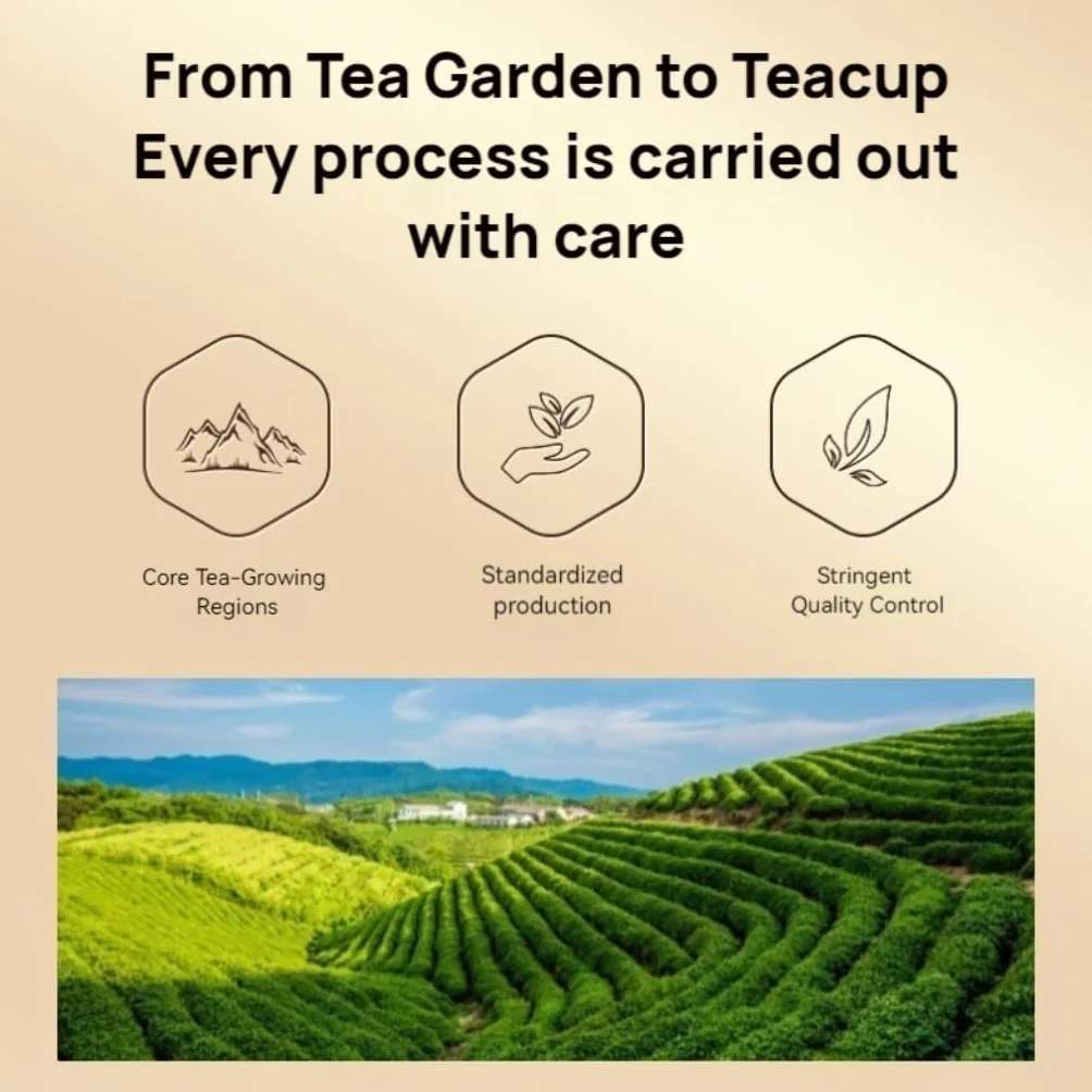 Liupao-Té Mandarín Premium | Té Oscuro De Guangxi, China | Sin Aditivo | Perfecto para Regalar 250g / 8,82oz