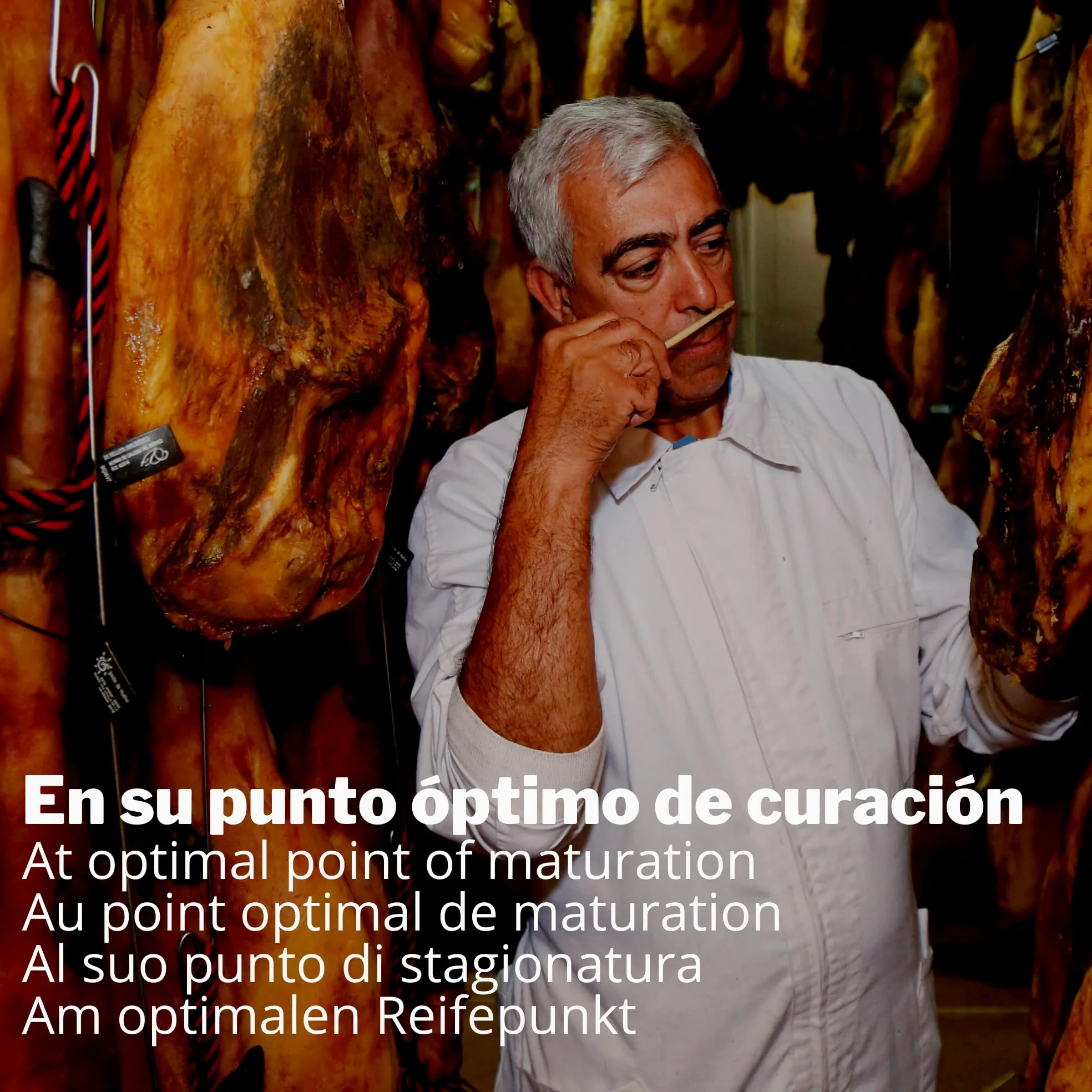 2 kg Punta de Jamón de Cebo de Campo Ibérico 50% Raza Ibérica Deshuesado - Jamon Iberico de Elaboracion Tradicional - Embutidos ibéricos