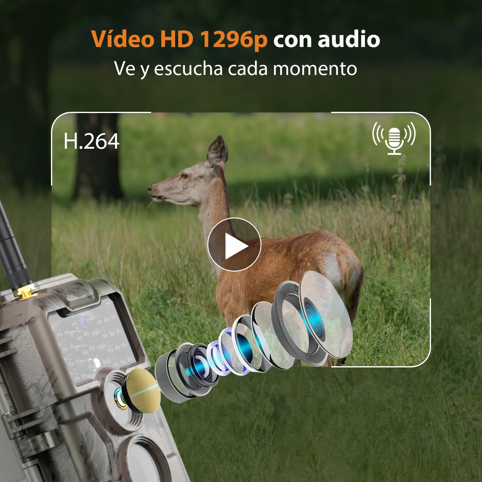 GardePro E6 Câmaras de Caça WiFi con Antena y App 48MP 1296P H.264 Vidéo, Camara Fototrampeo con Alcance de Visión Nocturna de 25m y Amplio Campo de Visión de 110°