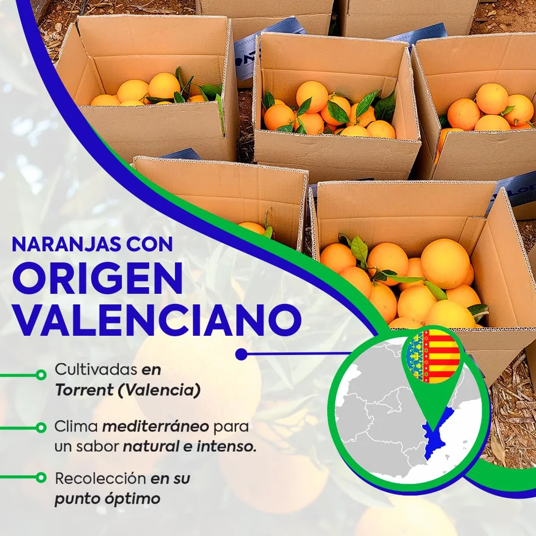 Naranjas de Valéncia directas del árbol recién recolectadas - del árbol a tu mesa sin tratamientos post cosecha - cajas de 5, 9, 15 y 19kg - fruta natural valenciana - naranja de mesa (9KG)
