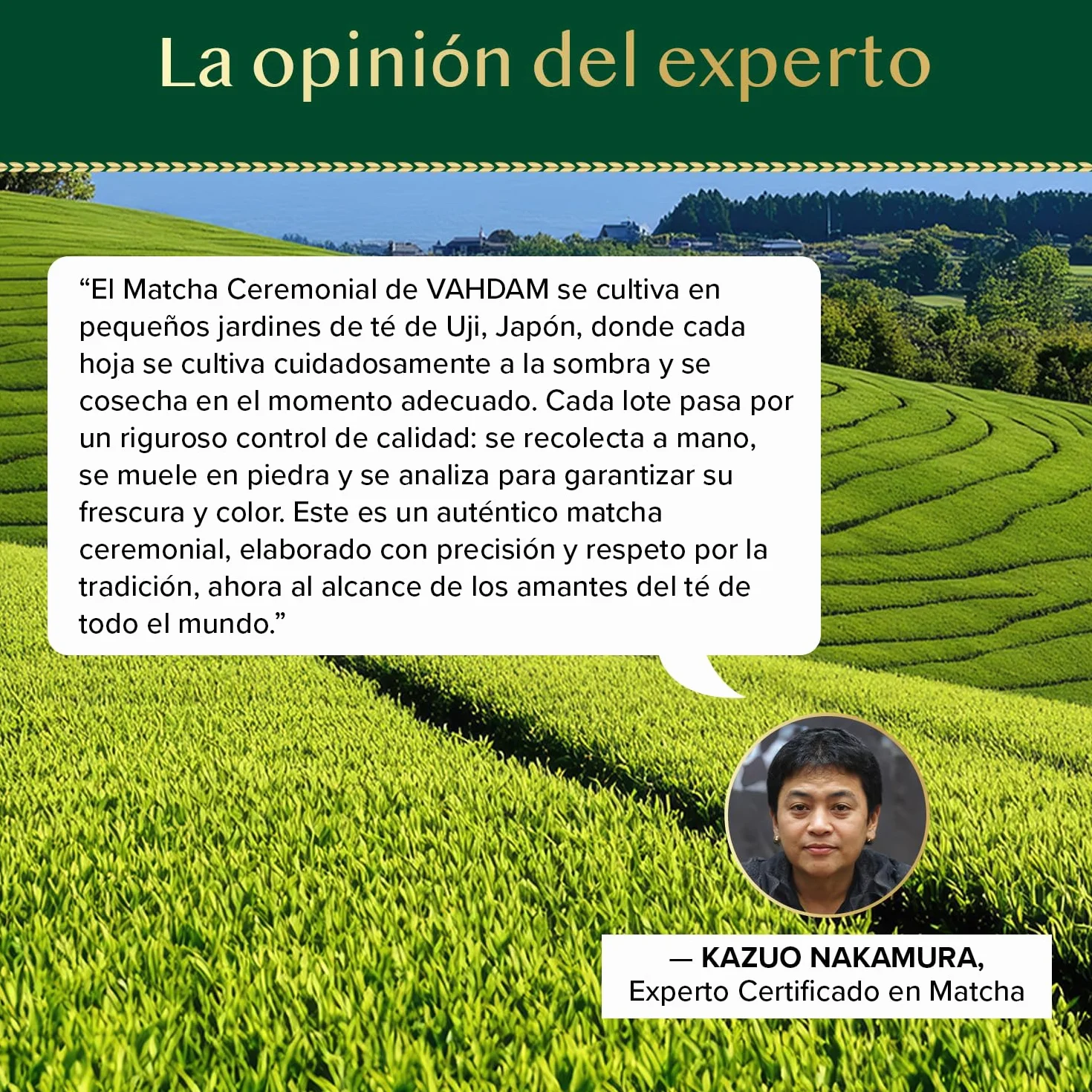 VAHDAM Matcha Ceremonial 30g | Té Verde Matcha Japonés Grado Ceremonial de Uji, Japón | Polvo Ultra Fino y Sedoso | Sabor Delicado Sin Amargor | Ideal para Ceremonia del Té y Matcha Latte
