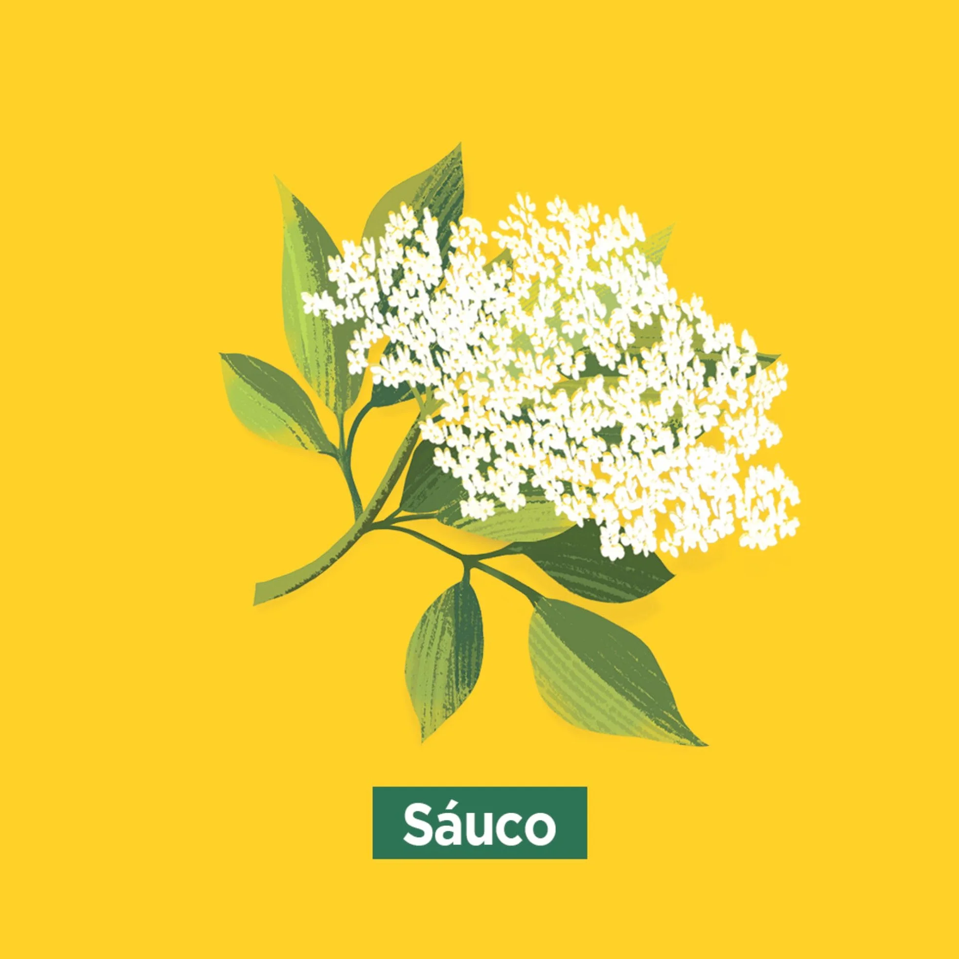 Ricola - Hierbas Suizas Original, Caramelos Duros Sin Azúcar, Refresca, Alivia la Garganta y la Respiración, con Aceites Esenciales de Menta, Mentol y 13 Hierbas Suizas, con Edulcorantes - Bolsa 70 g