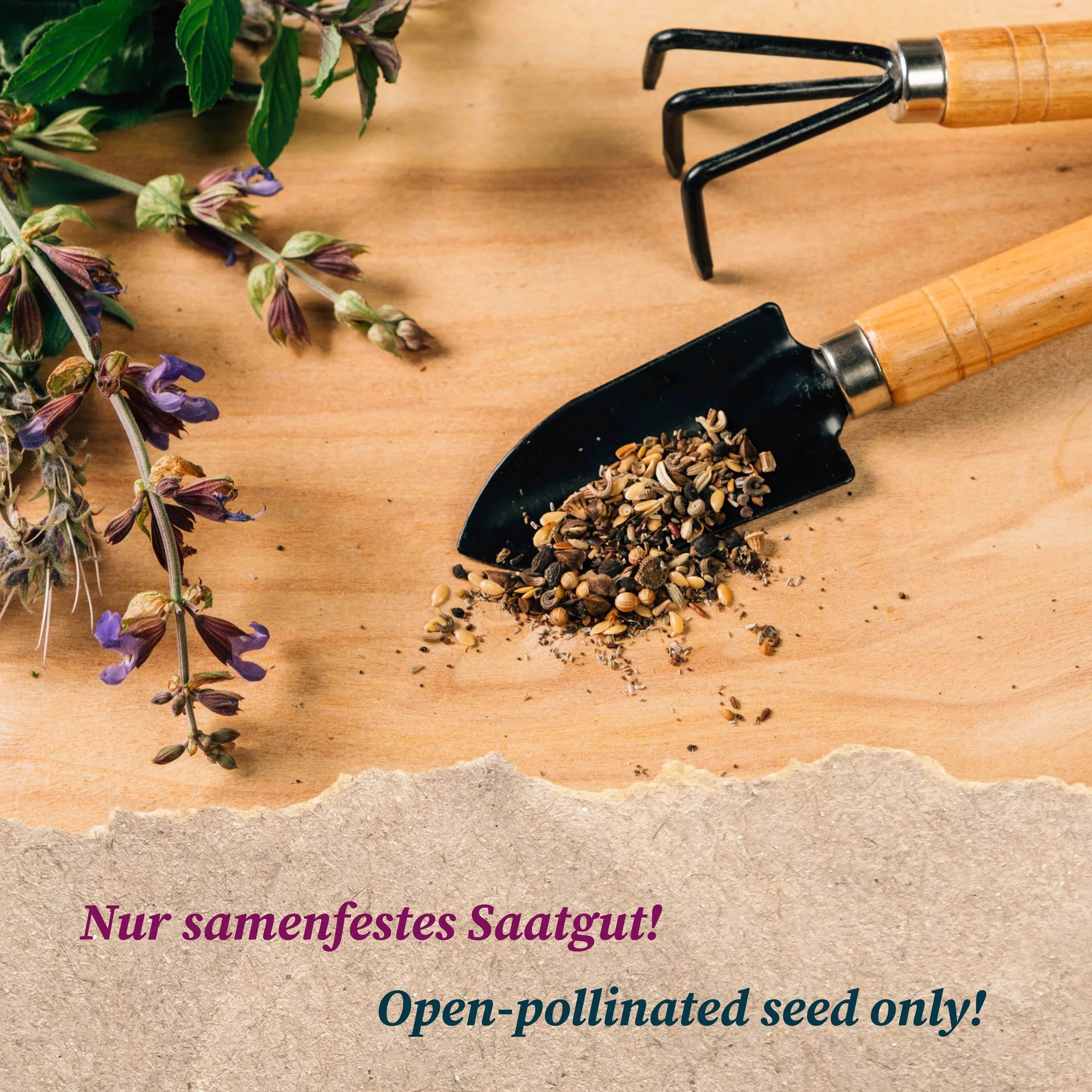 Flores comestibles- Set de regalo de semillas con 4 variedades aromáticas para agregar belleza y sabor a ensaladas, canapés y postres.