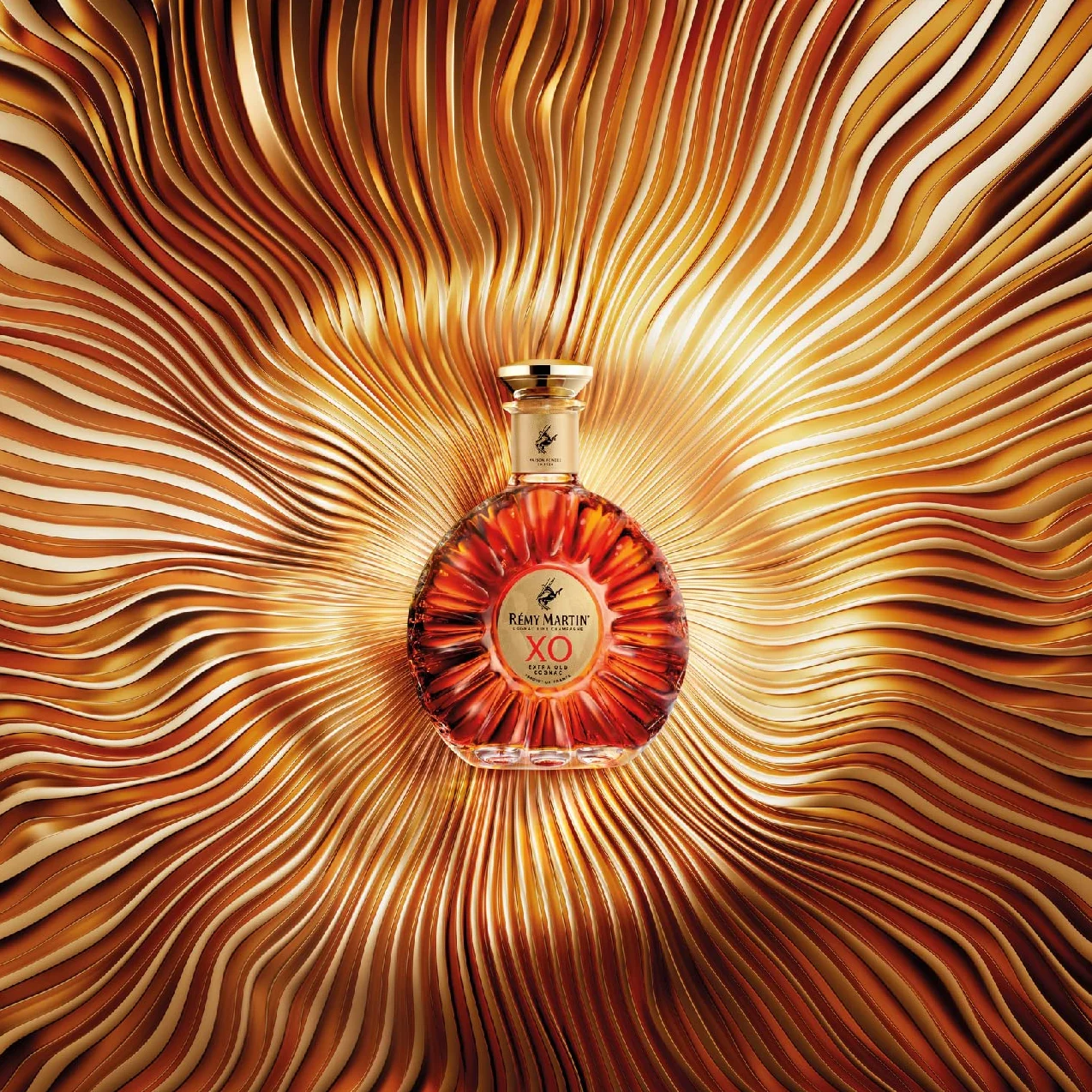 RÉMY MARTIN XO Cognac 40% Vol 70 cl