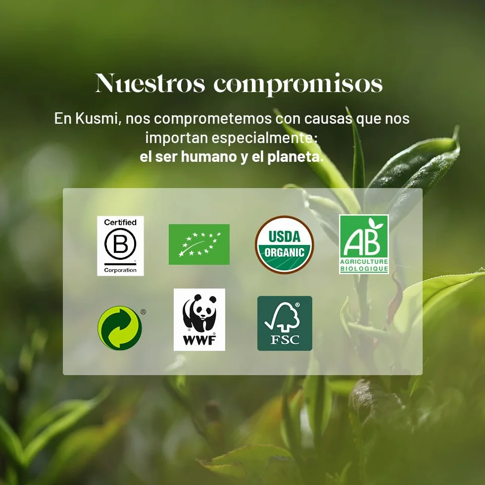 Kusmi Tea Surtido de Té Verde Orgánico para Regalo con Colador - Cesta 5 Latas 25 g