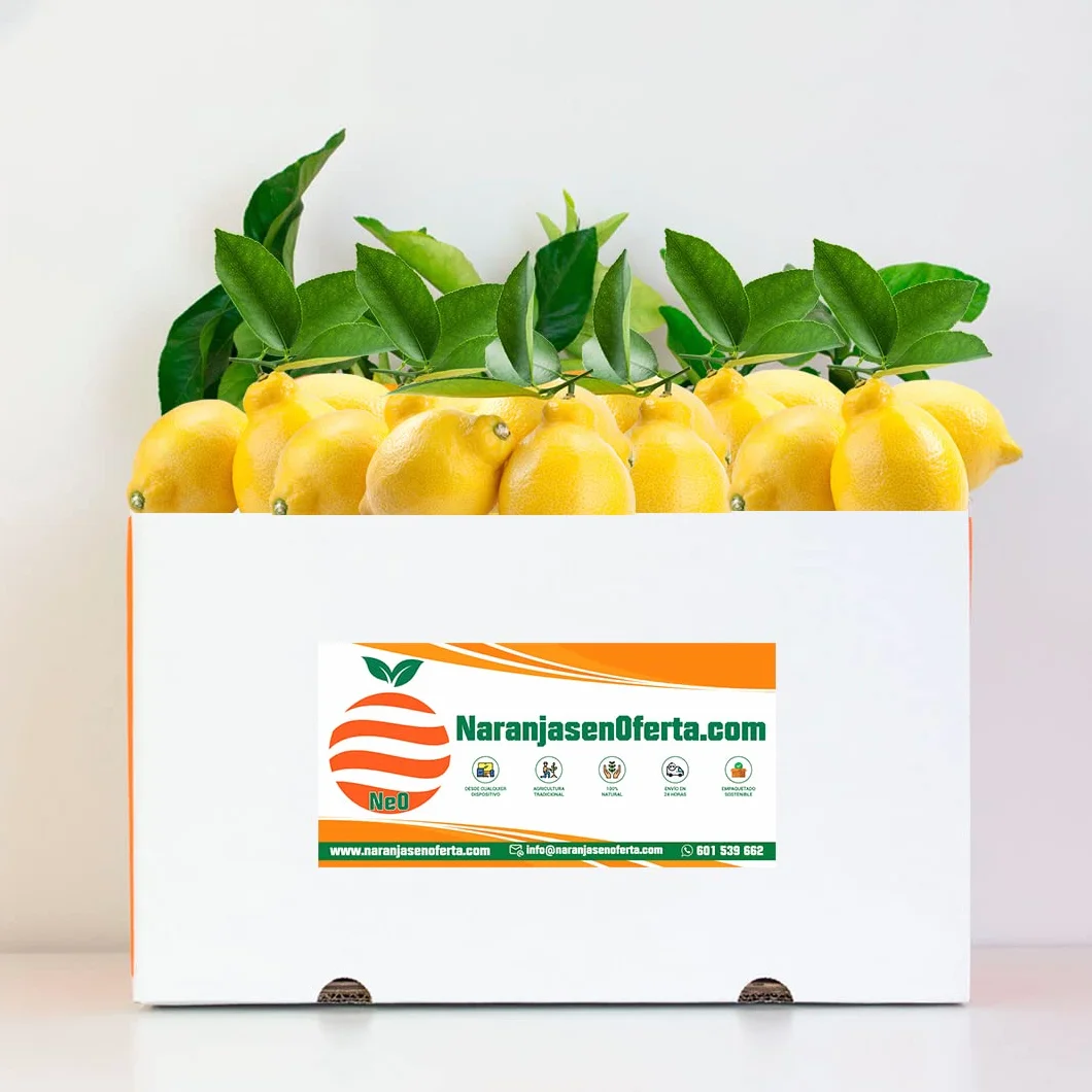 Limones de Valencia Caja 5kg