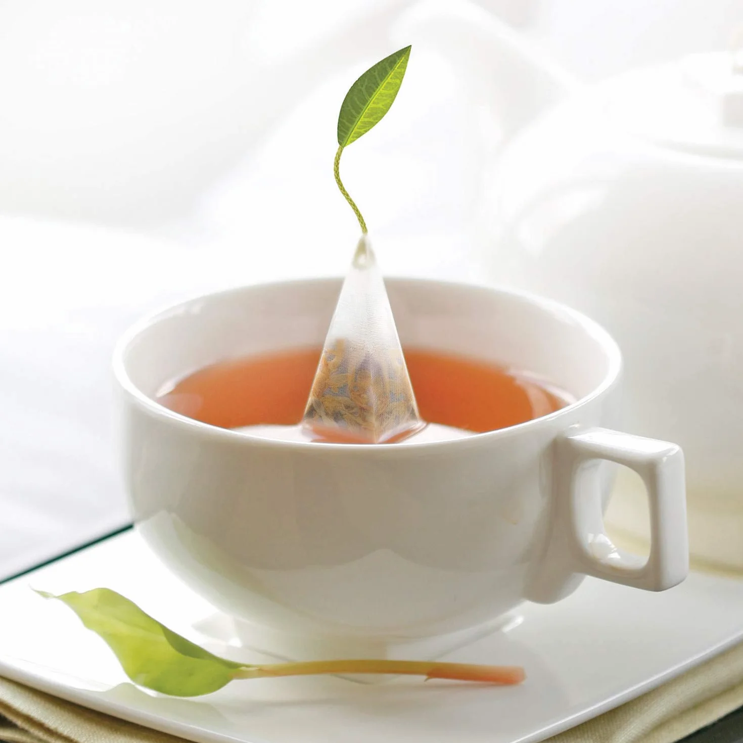 Caja de Té Herbal Surtido de Degustación 40 infusores de Té con Forma de Pirámide Hechos a Mano de Te Forte - Manzanilla, Chai, Menta y mucho más.