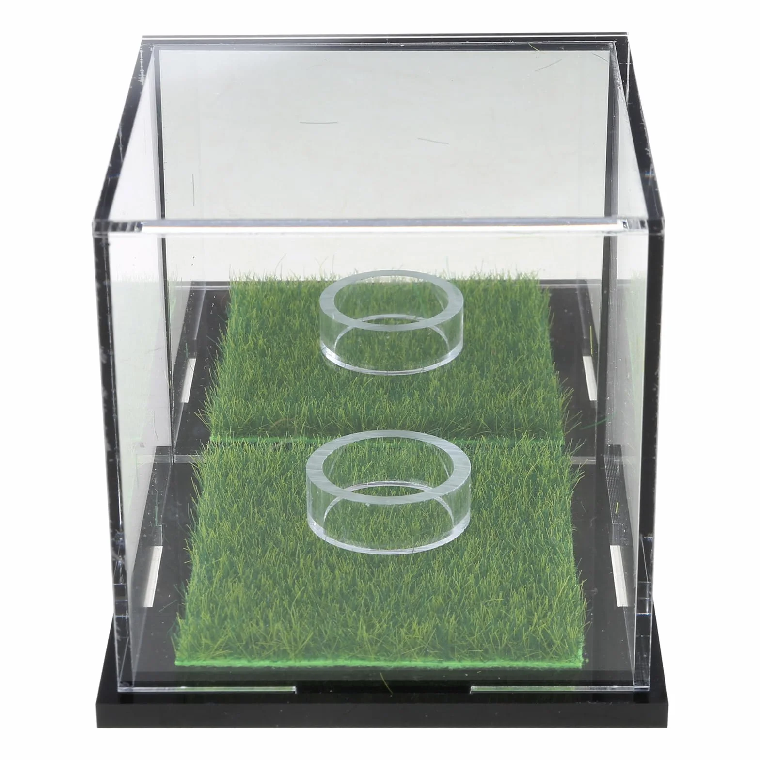 Soporte transparente para pelotas de golf, caja de exhibición para golf, béisbol