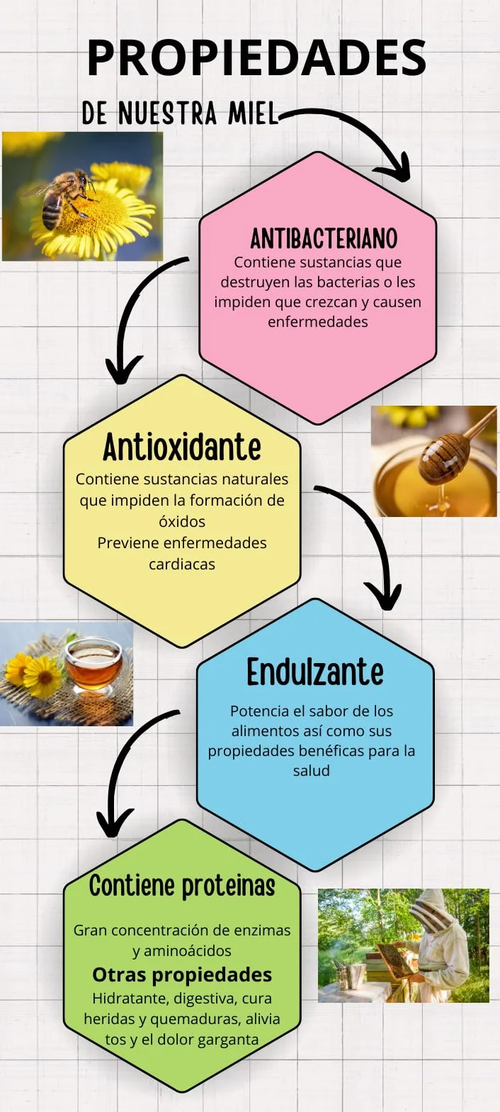 Miel Pura de Abeja-100% Origen España-Miel Cruda-1Kg-Miel Natural-Directa de Apicultor-Sin Procesar-Sin Pasteurizar. (Kg, Flores silvestres)
