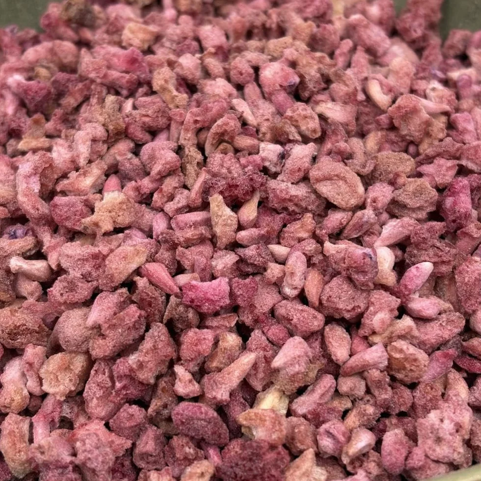 NULTHY 250g Granada Liofilizada 100% Natural | Granos de Granada Deshidratada Crujiente Sin Azúcar Añadido | Snack Saludable Rico en Antioxidantes | Ideal para Yogur, Ensaladas, Bowls y Repostería