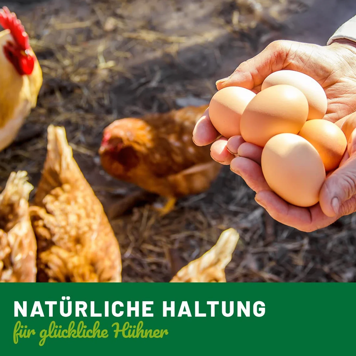 HÜHNER Land Huevos de arcilla para gallinas, 6 unidades – ayuda para incubar, realistas