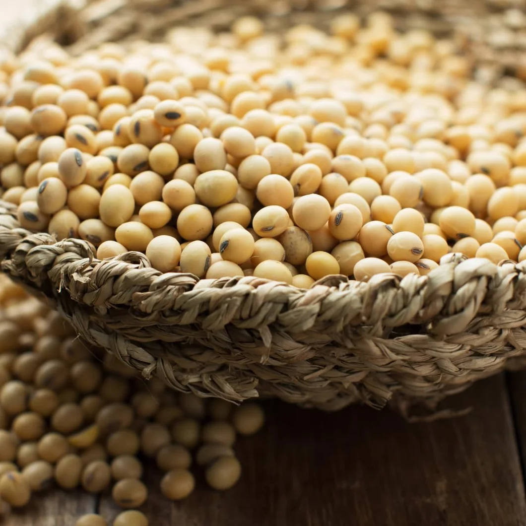 BONGIOVANNI FARINE E BONTA' NATURALI Soja Amarilla Italiana 1Kg ORGÁNICA