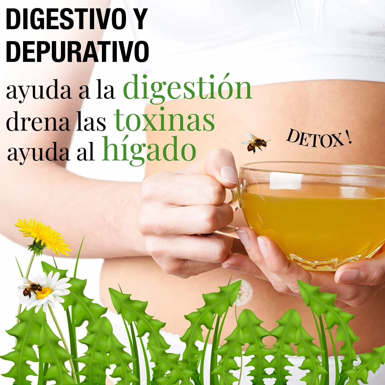 ORIGEENS Bio Diente de Leon Infusion 100g - Hojas de diente de leon secas - ​​Infusion drenante y diurética - Dandelion tea
