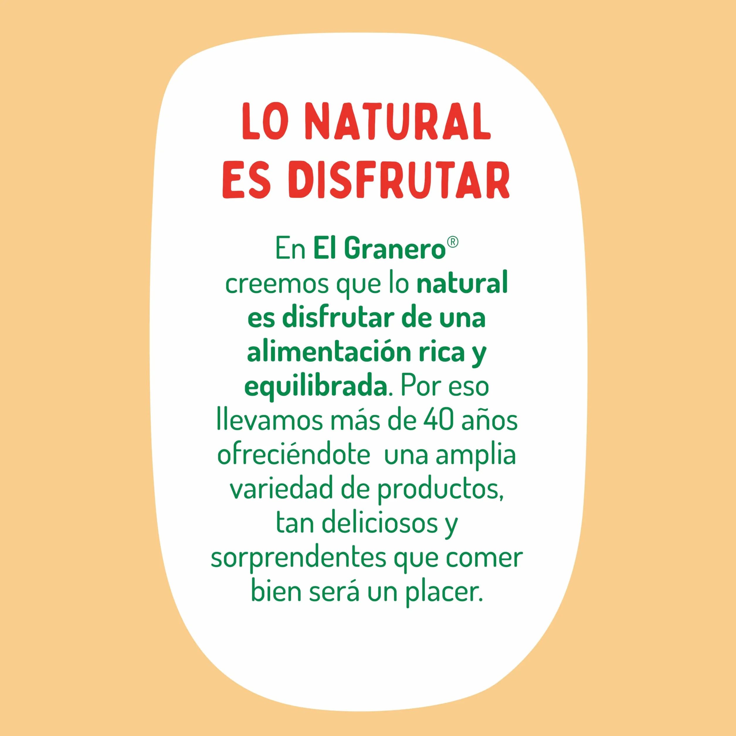 El Granero Integral - Láminas para Lasaña Sin Gluten BIO - 250 g - Alto Contenido en Proteínas, Vitaminas, Minerales y Fibra - Aptas para Veganos y Celíacos