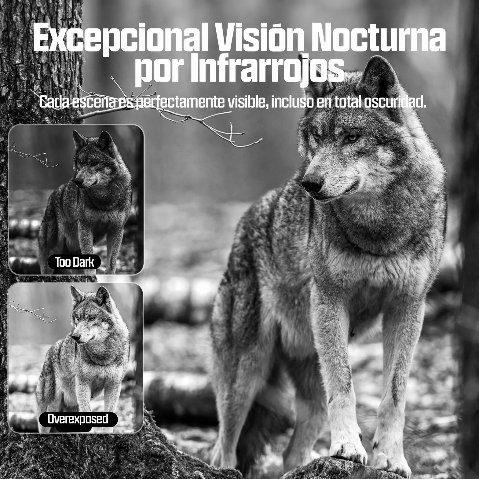 CEYOMUR 4G LTE Cámara Caza 2K 48MP Visión Nocturna Activación por Movimiento Control App IP66