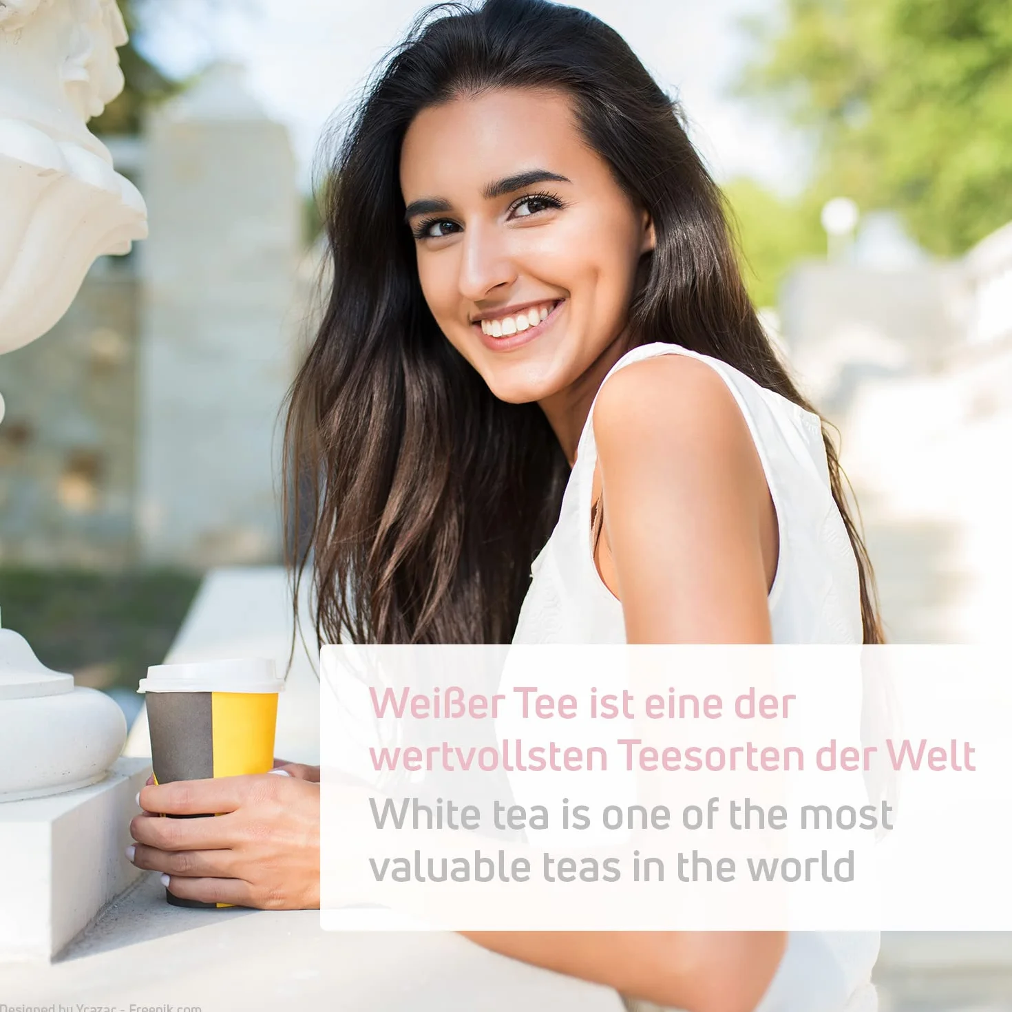 Té Blanco Ecológico - Té Pai Mu Tan. 100 g, hojas enteras - suave, fragante y aromático. (40 tazas) | Tea2Be