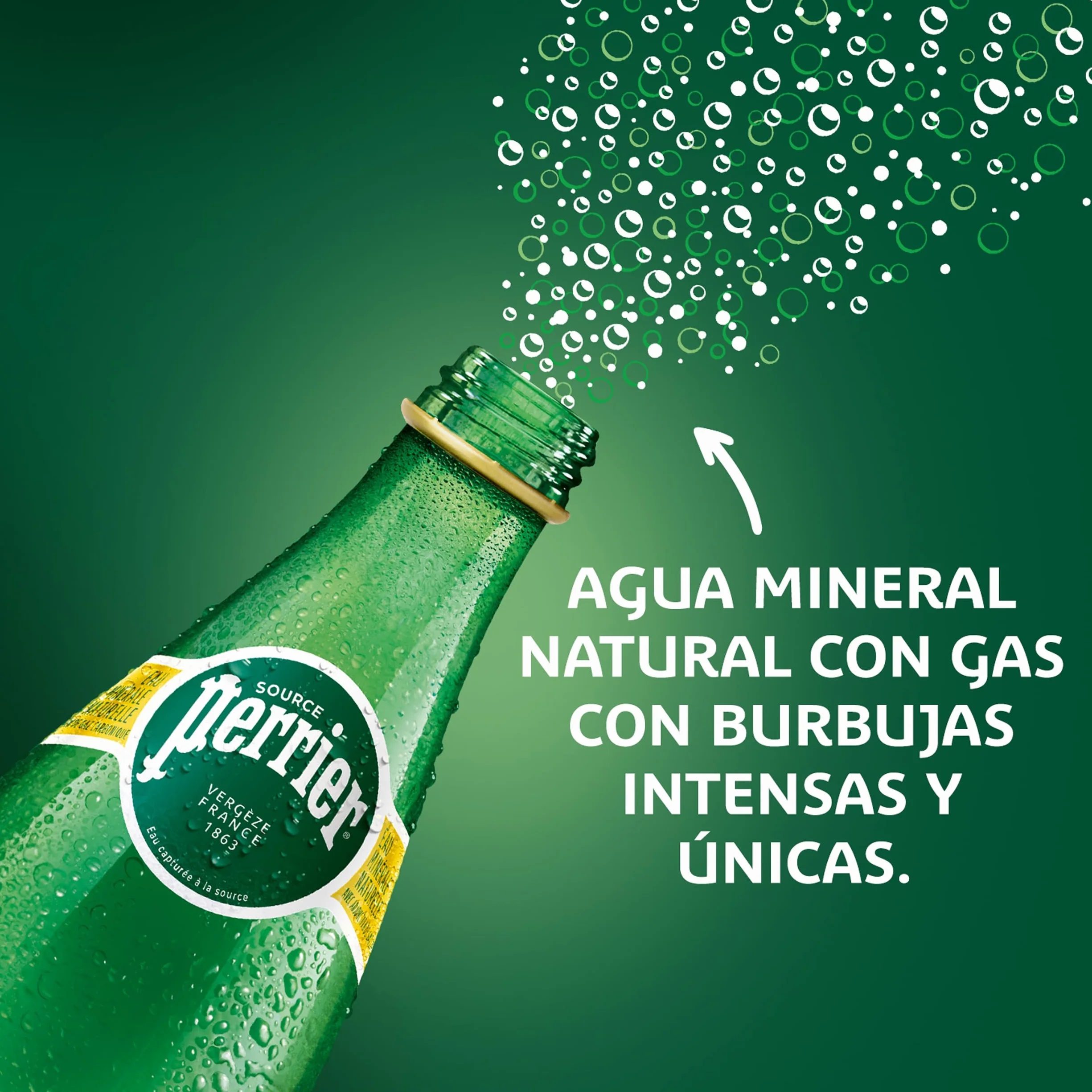 Perrier Agua Mineral Natural con Gas - Paquete de 6 Botellas de Plástico de 1 L - Total: 6 L