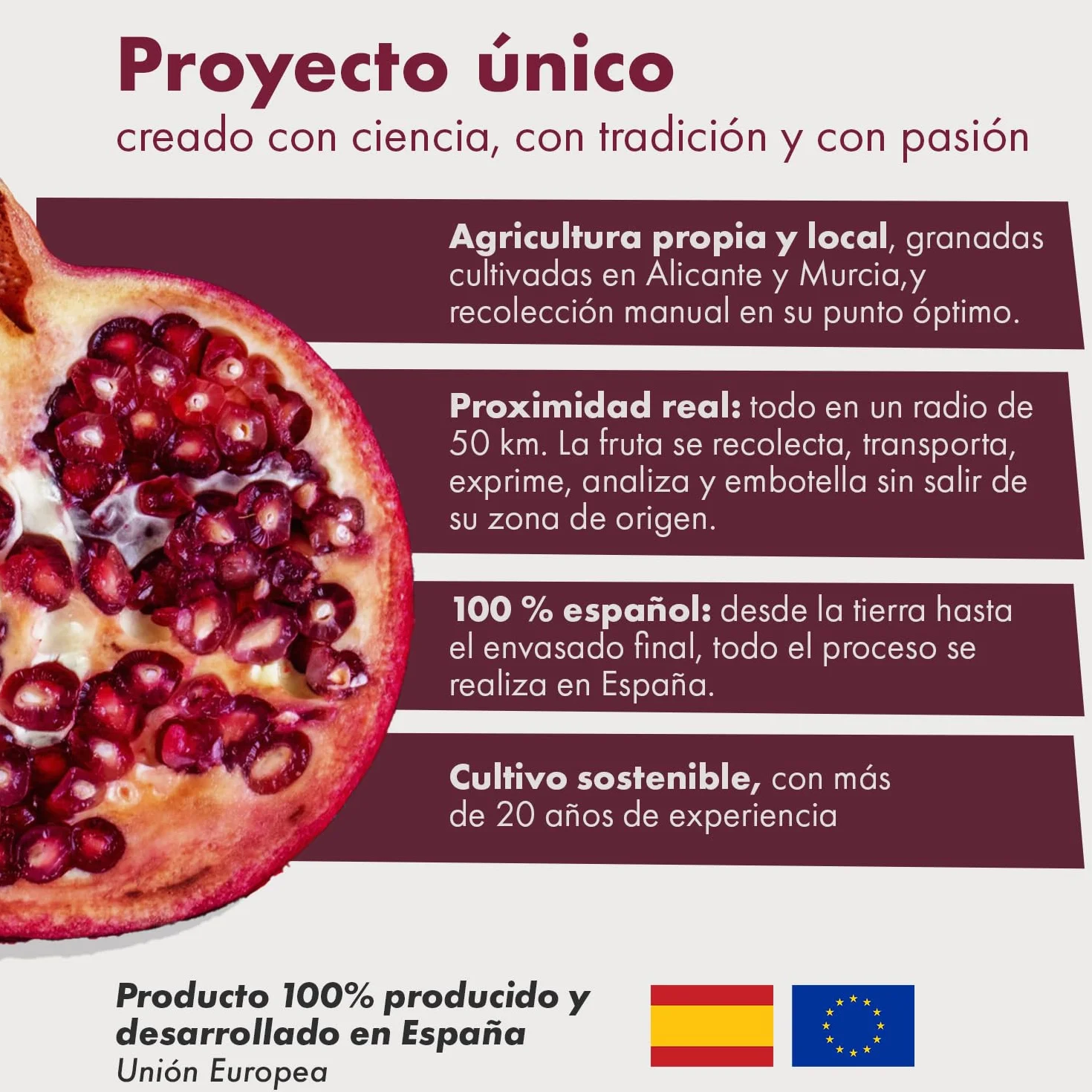 Granatum Plus Pack de 6 Botellas de Zumo de Granada Natural 750ml 100% Exprimido Sin Azúcares Añadidos
