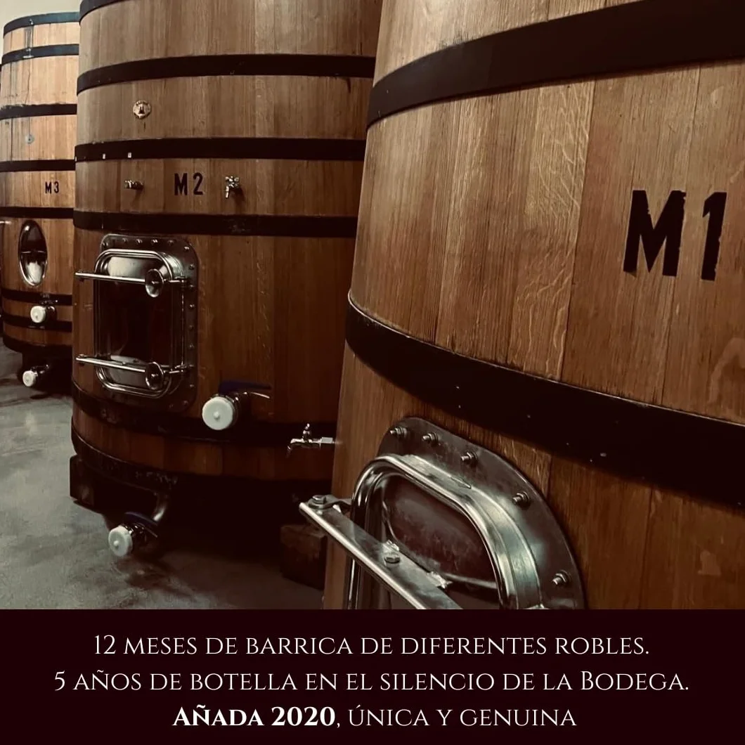 Henrique de Benoît® Vino Tinto Premium Reserva 2020 Pack 3 Botellas 750 ml | Tempranillo 45% Syrah 45%, Graciano 10% | 12 Meses Barrica + 5 Años Botella | Regalo Gourmet Vino Tinto Campiña - Madrid