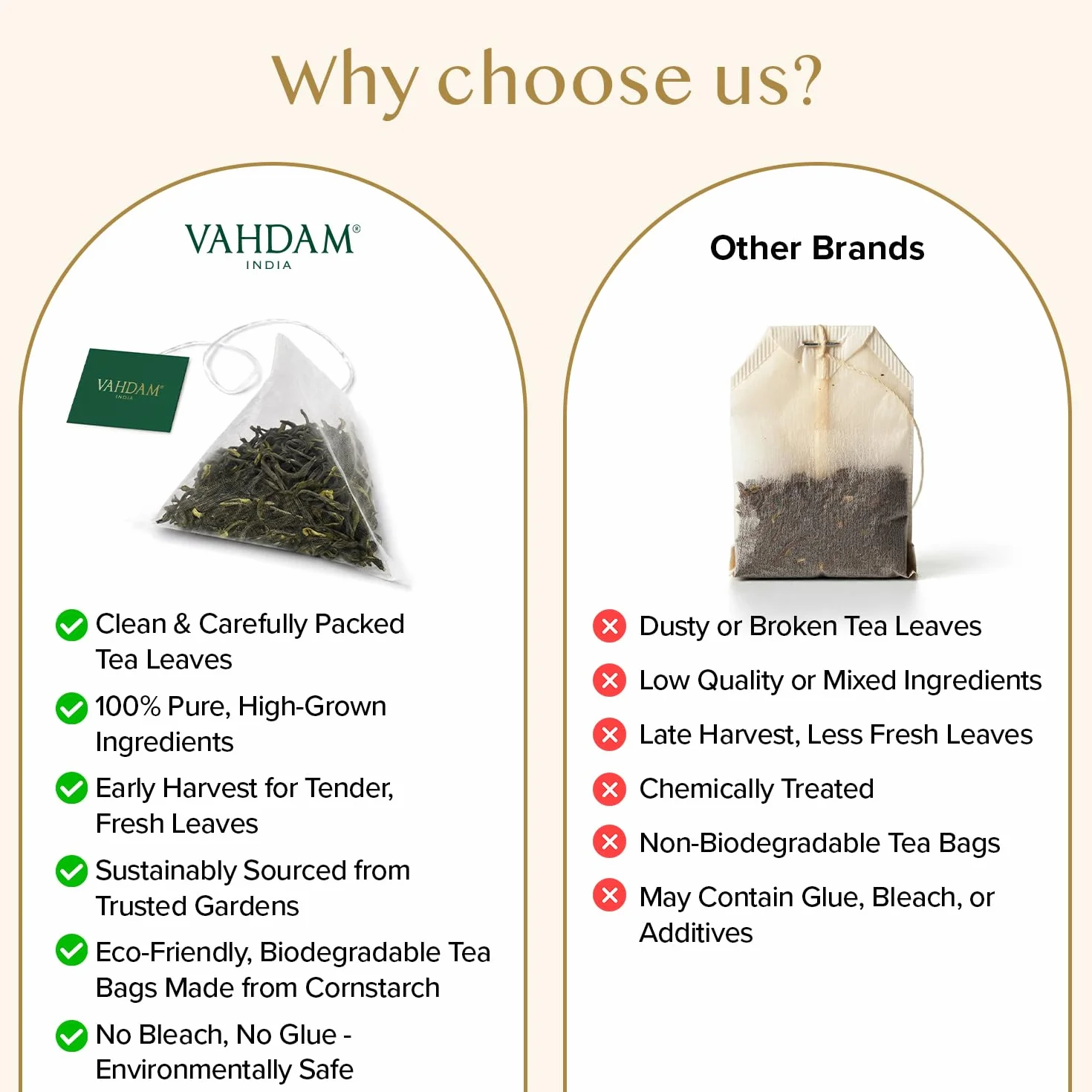 VAHDAM, Himalayan Té Verde (100 Piramidales Bolsitas De Té) 100% Pura Y Natural | Envasado Fresco En La India | Caliente, Frío O Como Kombucha