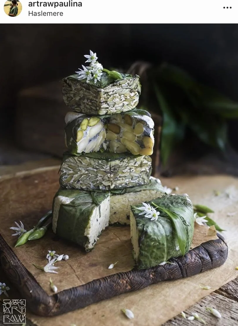 Tempehtation Cultivo Iniciador de Tempeh Orgánico, Sin Gluten Probado en Laboratorio, Hecho en Escocia, 70 Gramos