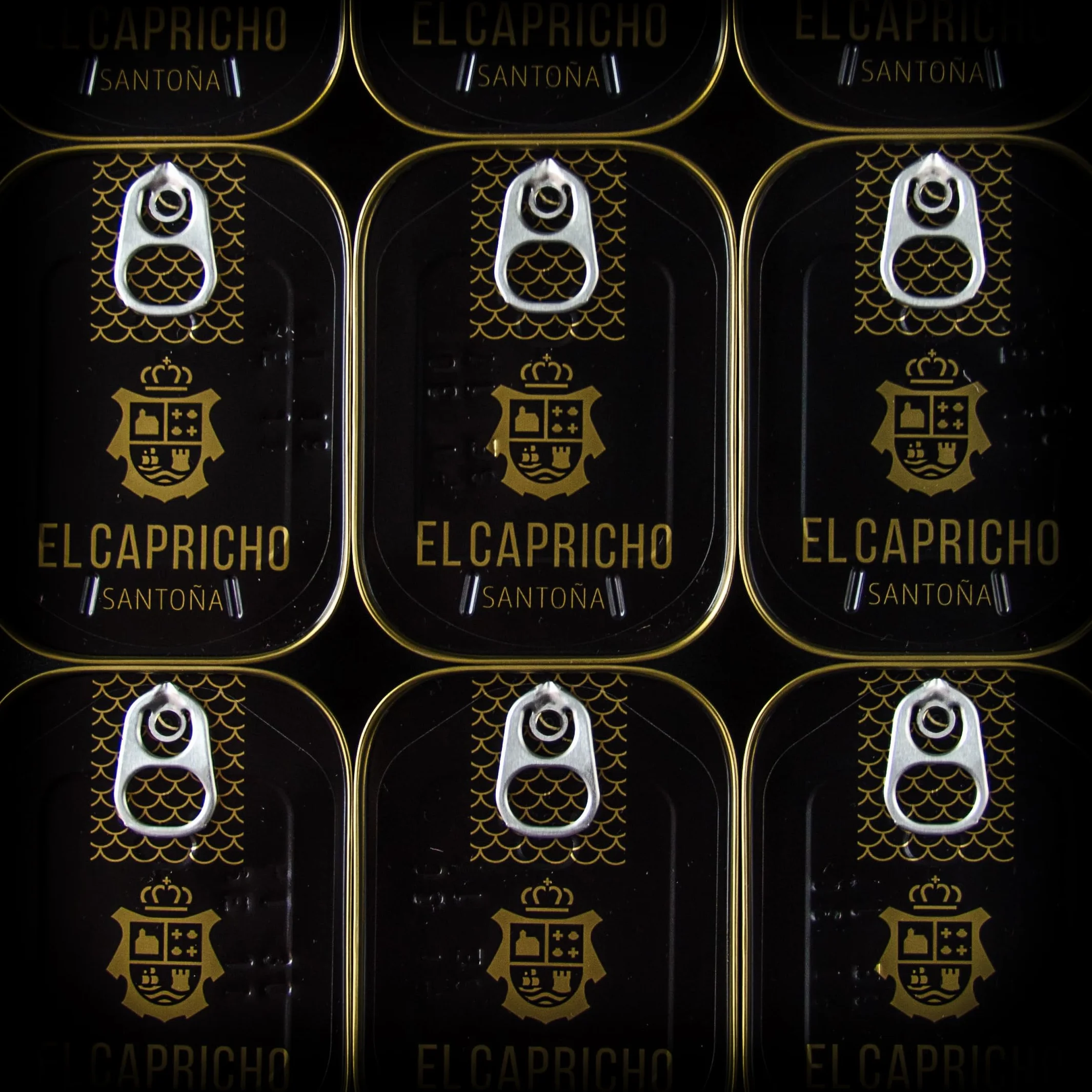 EL CAPRICHO Filetes de Anchoa de Santoña Dingley S en Aceite de Oliva Virgen Extra, 24 Filetes, 95 g Neto (Pack de 2)