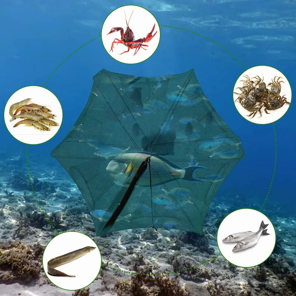 Red de Pesca con 6 Agujeros para Cangrejos y Peces Pequeños, Trampa de Malla Resistente