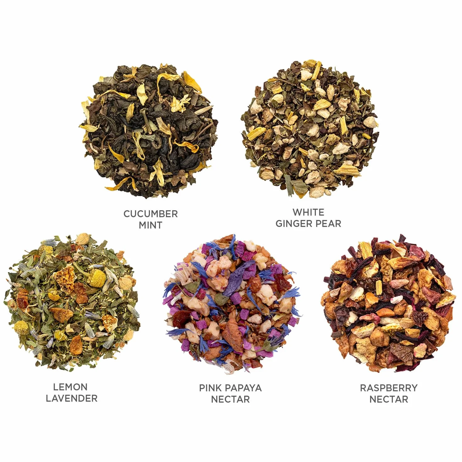 Tea Forte Juego de Té Regalo con Taza, Bandeja y 10 Bolsitas Piramidales Mariposa