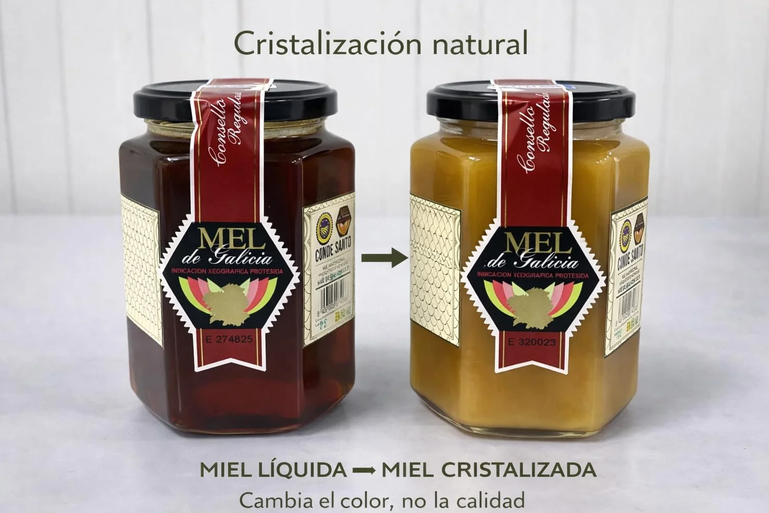 Miel Cruda de Montaña de Galicia IGP 1 kg – 100% Natural Sin Filtrar ni Pasteurizar | Miel Artesanal Directa del Apicultor | Conde Santo