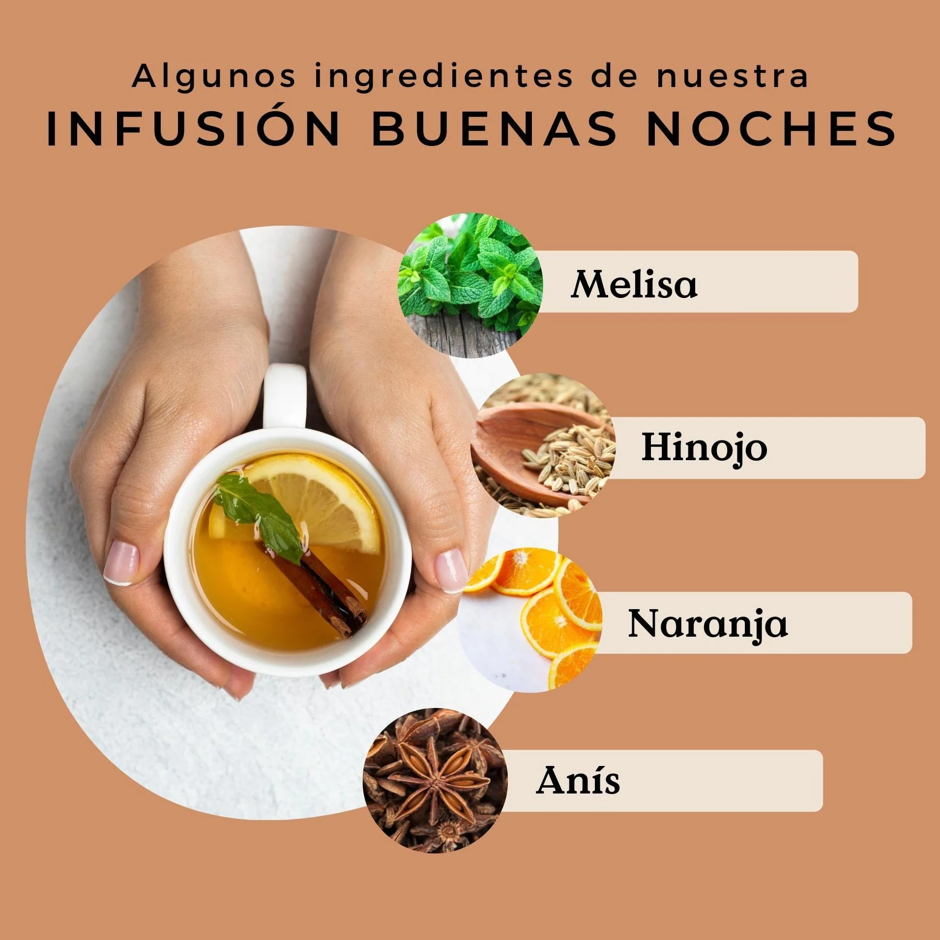 INFUSION PARA DORMIR Buenas Noches 100% Ecológica 100g (50 Tazas) | INFUSION DE MELISA con Hinojo, Anís, Naranja Orgánicos REPLANTEA®