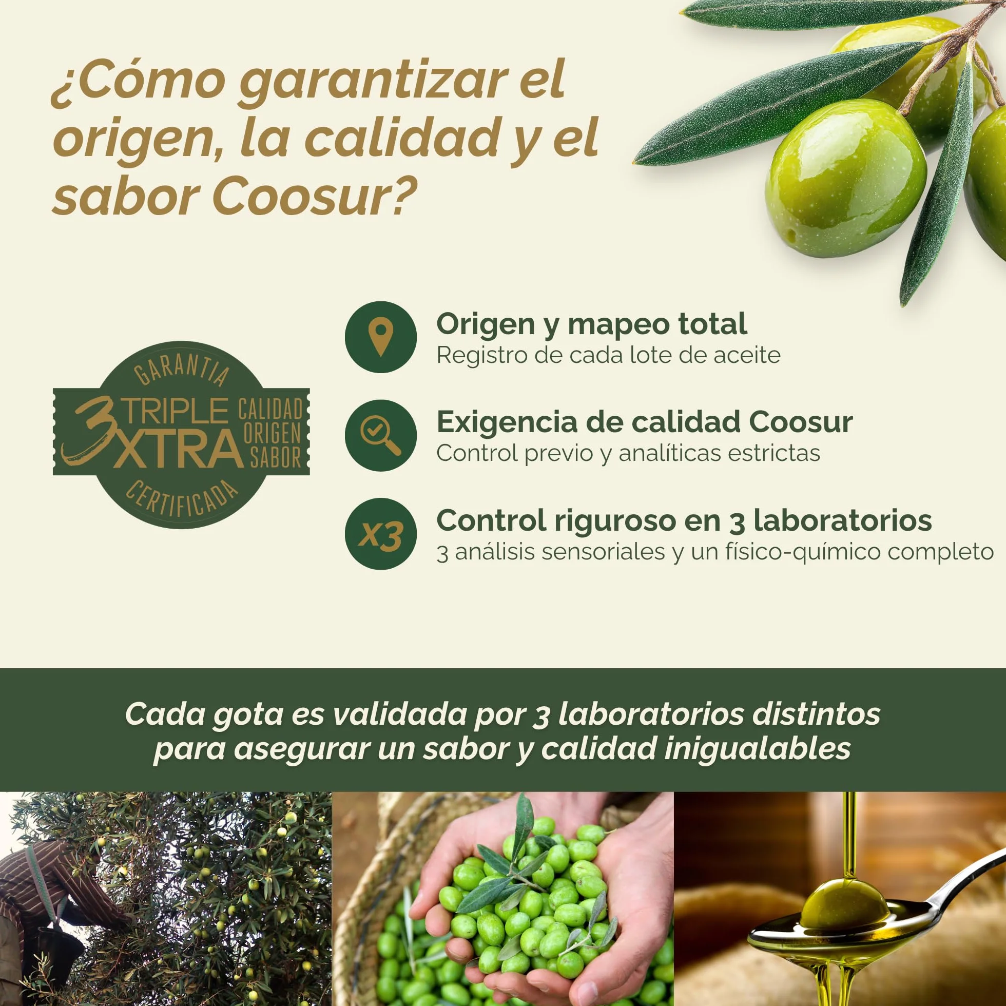Aceite de Oliva Virgen Extra 5 Litros Garrafa PET Cooperativa