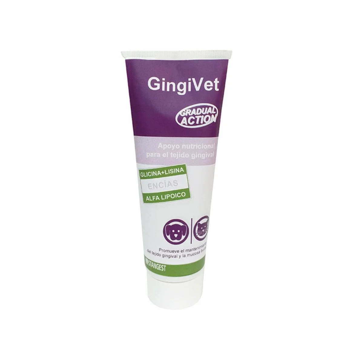 Gingivet Pasta 100Gr