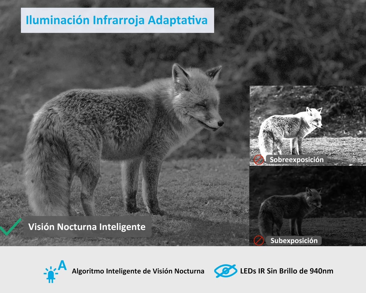 GardePro X50 Cámara de Caza 4G LTE 32MP 1296P H.265 Visión Nocturna 30m LED IR No-Glow