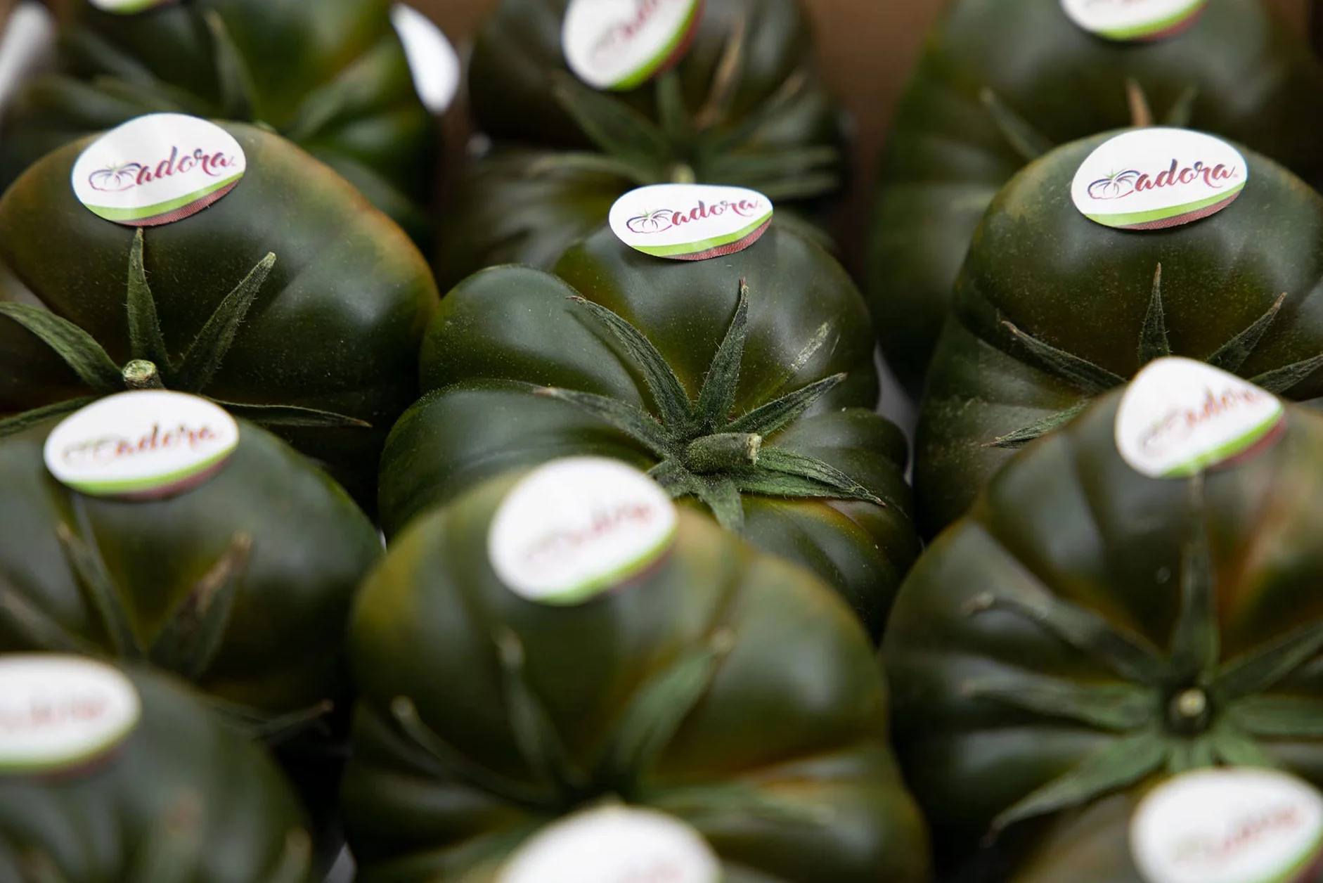 Tomate Adora 3kg, La Parcela, Origen España, Andalucía (Costa Tropical), Comprar Tomate Fresco, De La Huerta A Tu Casa, Producto de Cooperativa Granada La Palma