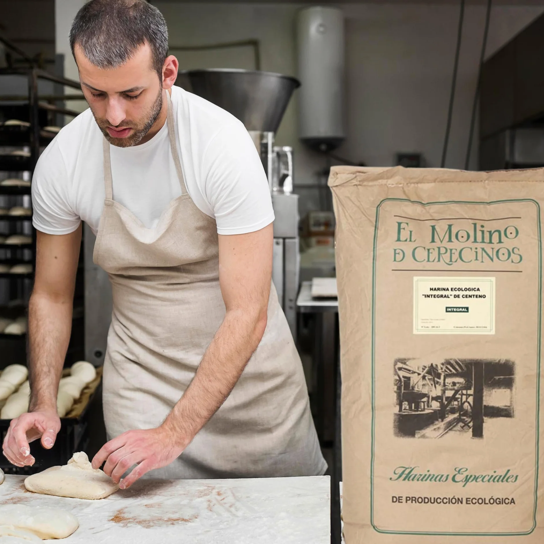 Harina De Centeno Ecológica Integral 25Kg | Rico en Fibra y Minerales que Aumenta la Saciedad | Ideal para Pan De Centeno Integral Puro Y Recetas Saludables | Harina De Centeno, Aroma y Sabor