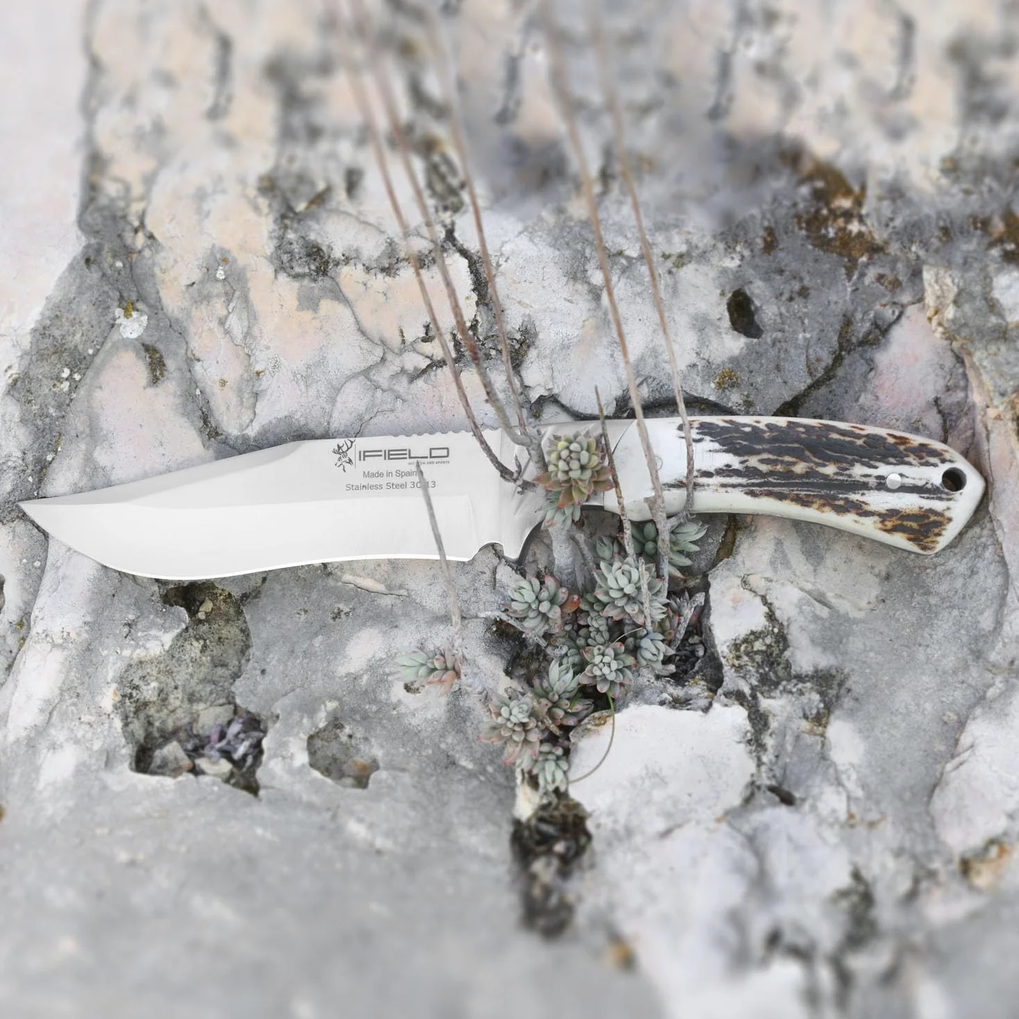 iFIELD Cuchillo de caza Camper EL29013 26 cm hoja 14 cm 3,8 mm funda de piel marrón