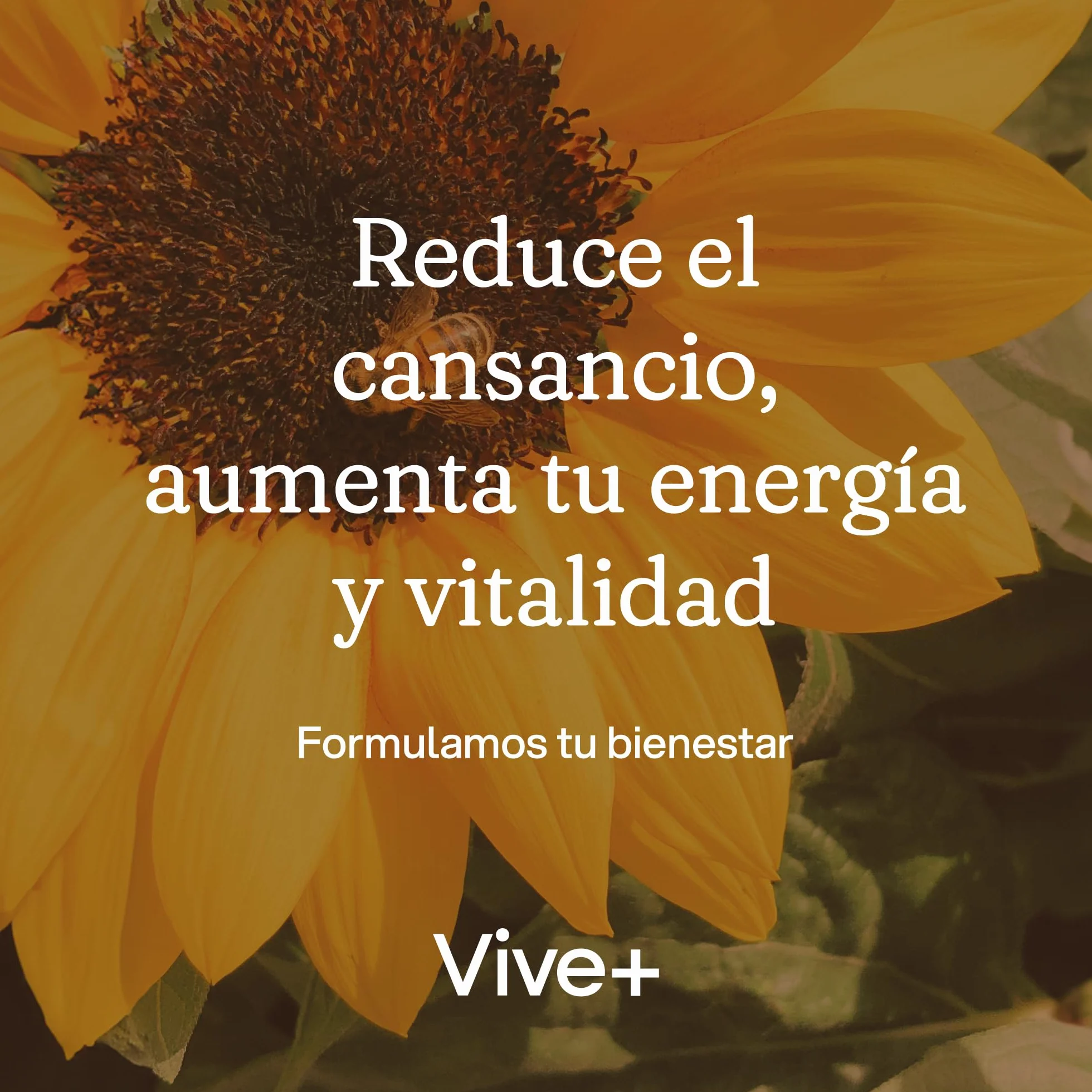 Vive+ Jalea Real – 12 Viales – Suplemento Energético Natural con Vitamina C – Refuerza el Sistema Inmunológico y Reduce el Cansancio – Fórmula Concentrada para Vitalidad y Bienestar