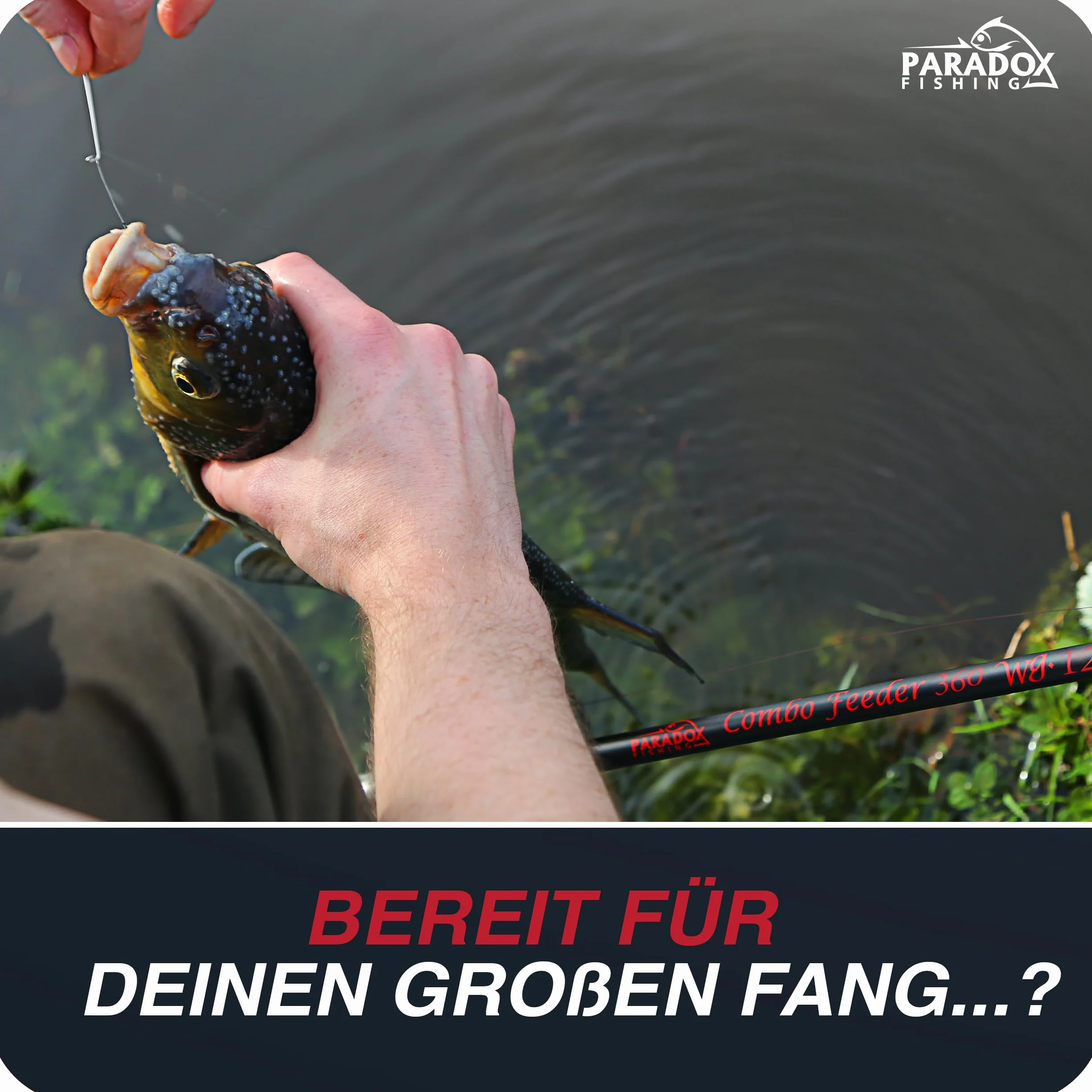 Paradox Fishing Caña de pescar 3,3 m 90 g 3,6 m 120 g con cesta de alimentación