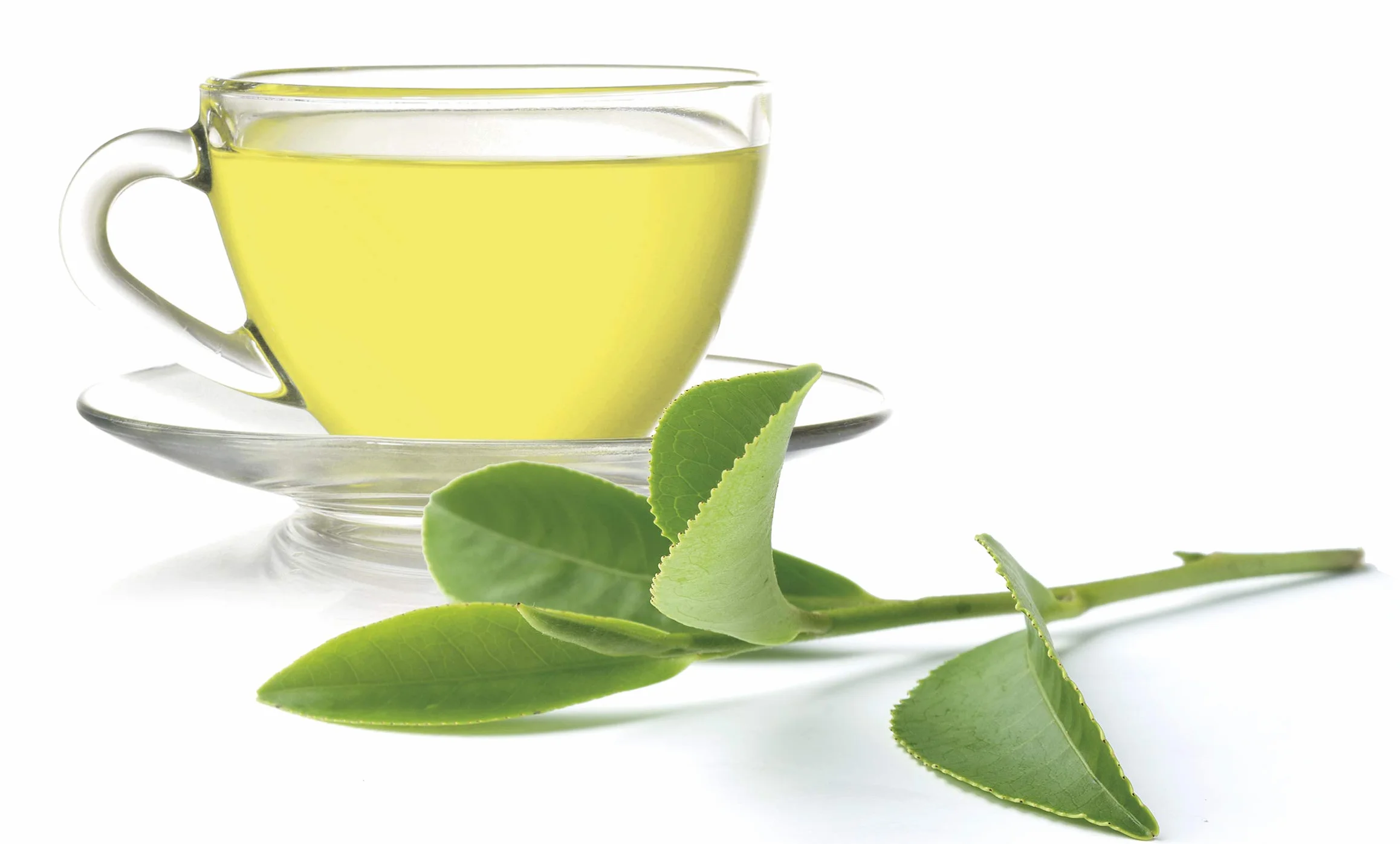 Ship - Té Verde en Caja de 25 Unidades -Propiedades Antioxidantes - Ayuda a Activar la Mente - Aporta Vitaminas y Minerales - Proporciona Bienestar y Tranquilidad - Sabor Dulce