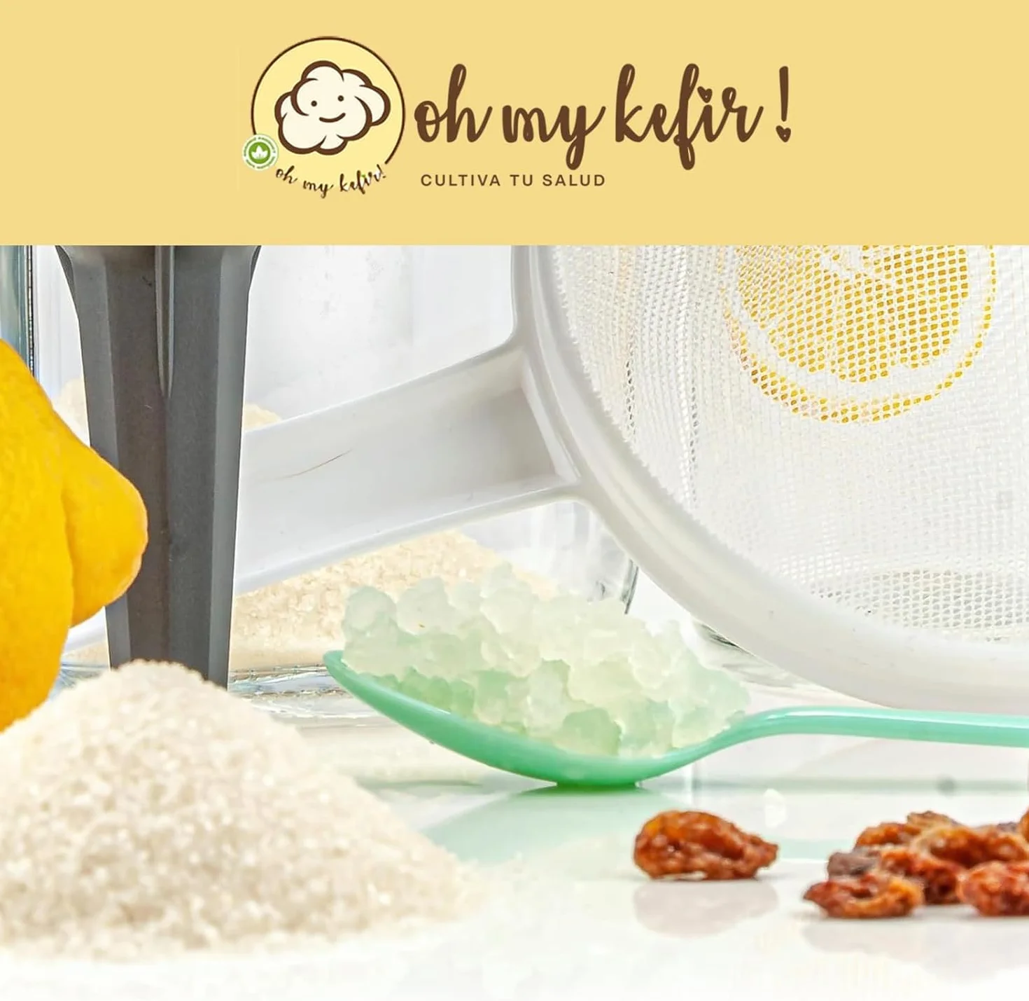 OH MY KÉFIR® Hongo/Nódulos Frescos de Kéfir de Agua 100g con Instrucciones y Recetas