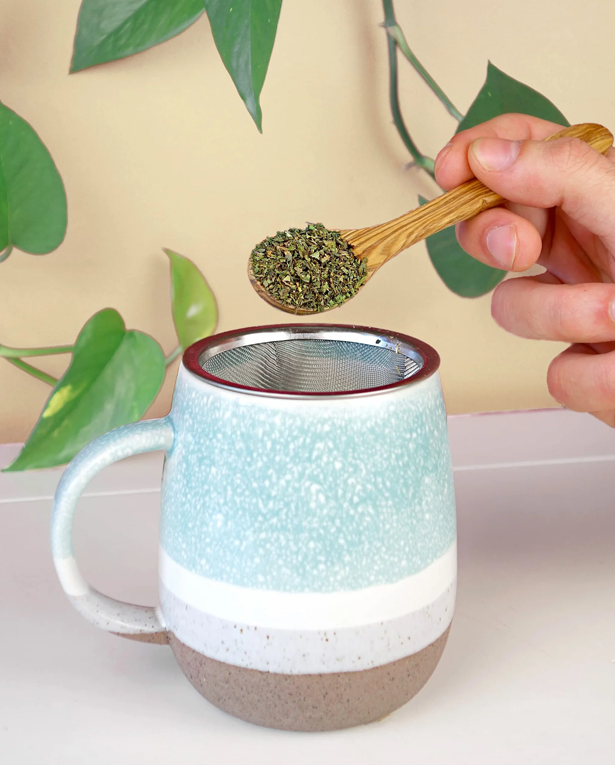 Hierbabuena 200 gr - Te de Hojas de Hierbabuena Cortadas - Infusion de Menta - Te de menta - Infusiones a Granel - Infusión de Hierbas - Propiedades Naturales