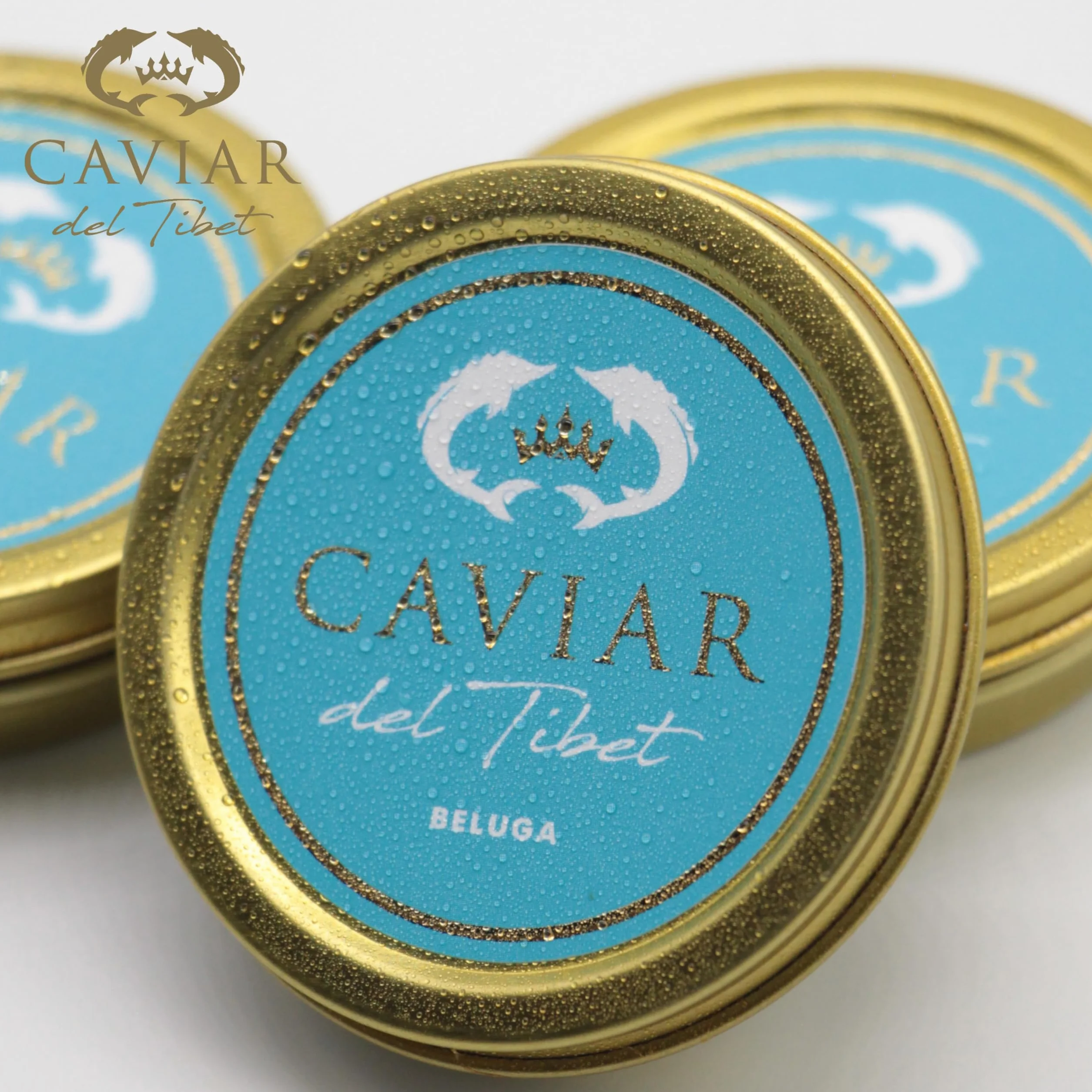 Caviar del Tíbet – Caviar Beluga 100 GR – Caviar de Esturión Huso Dauricus – Huevas de Caviar Kaluga – Caviar Gourmet…