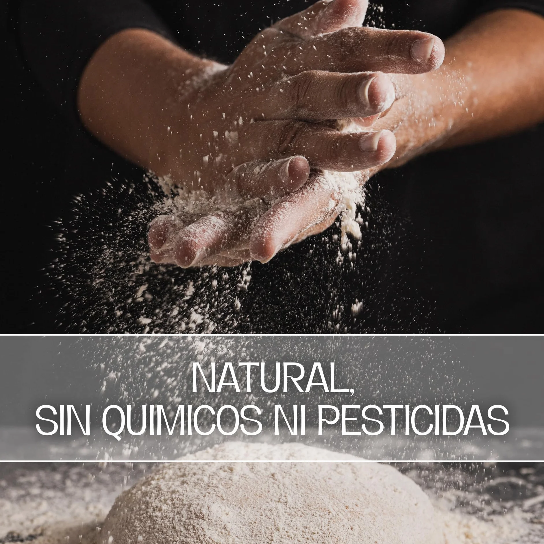 Harina De Centeno Ecológica Integral 25Kg | Rico en Fibra y Minerales que Aumenta la Saciedad | Ideal para Pan De Centeno Integral Puro Y Recetas Saludables | Harina De Centeno, Aroma y Sabor