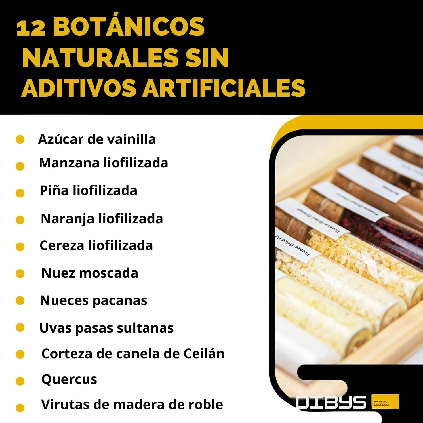 DIBYS Mini Ron Kit de Especias | 12 Botánicos para Infusión y Preparación de Cócteles | con 4 Recetas, Léxico y Elegante Caja | Set de Regalo para Hombres y Mujeres | Juego Hacer Ron en Casa