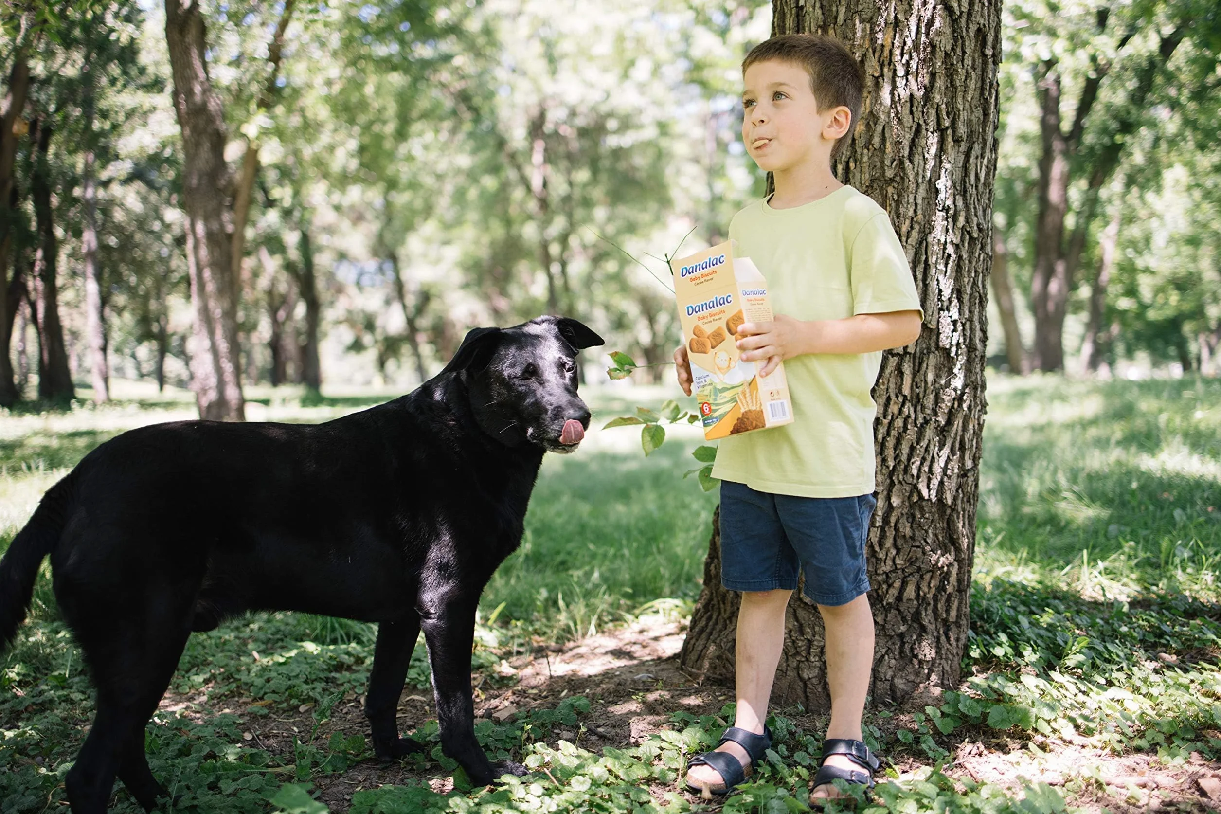 Danalac, Paquete De Galletas De Cacao Para Bebés De Bocadillos Para Niños Pequeños De 6 Meses O Más Con Calcio, Hierro Y Vitaminas, 120 Gramos